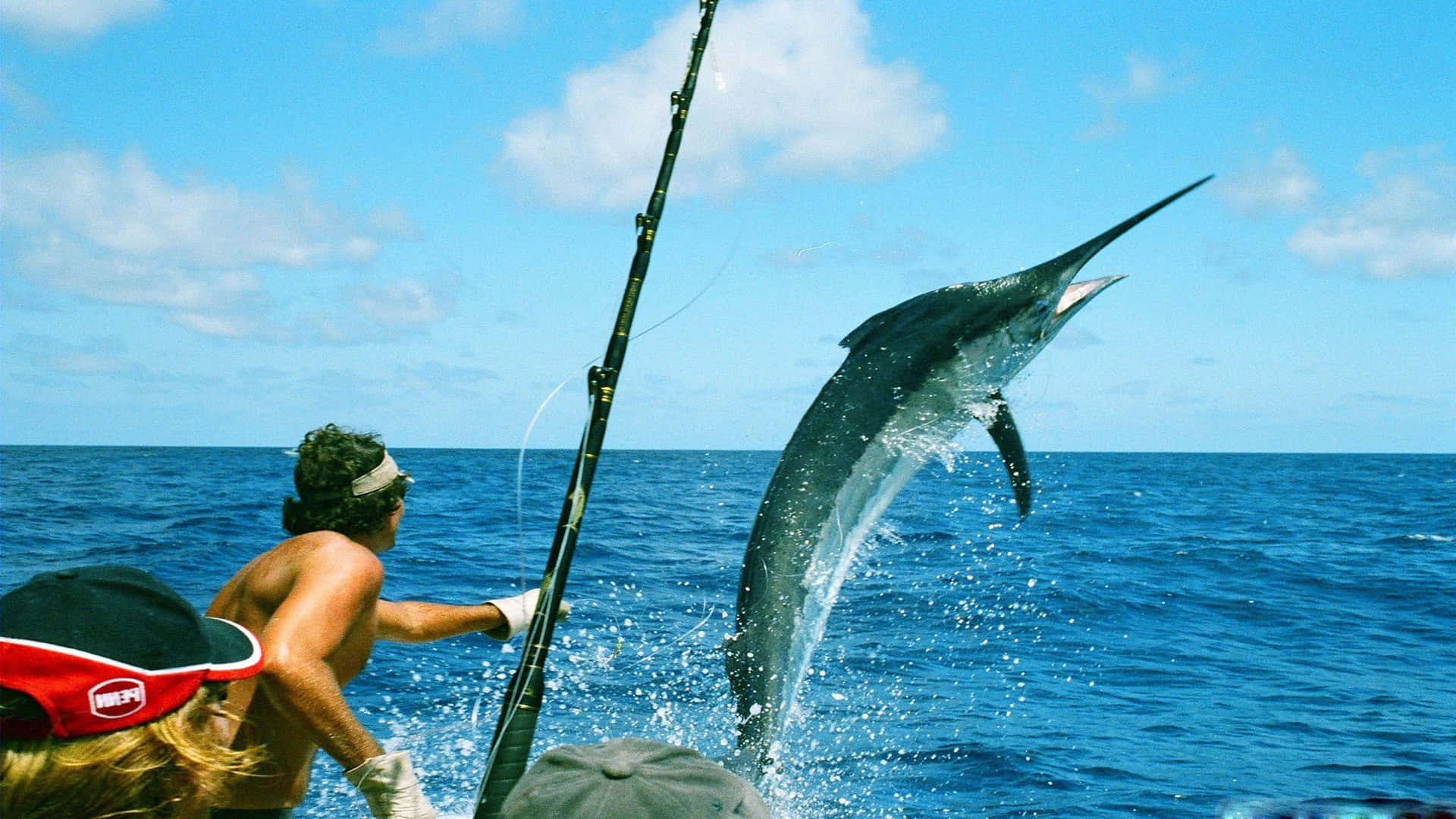 Marlin Leaping At Sea