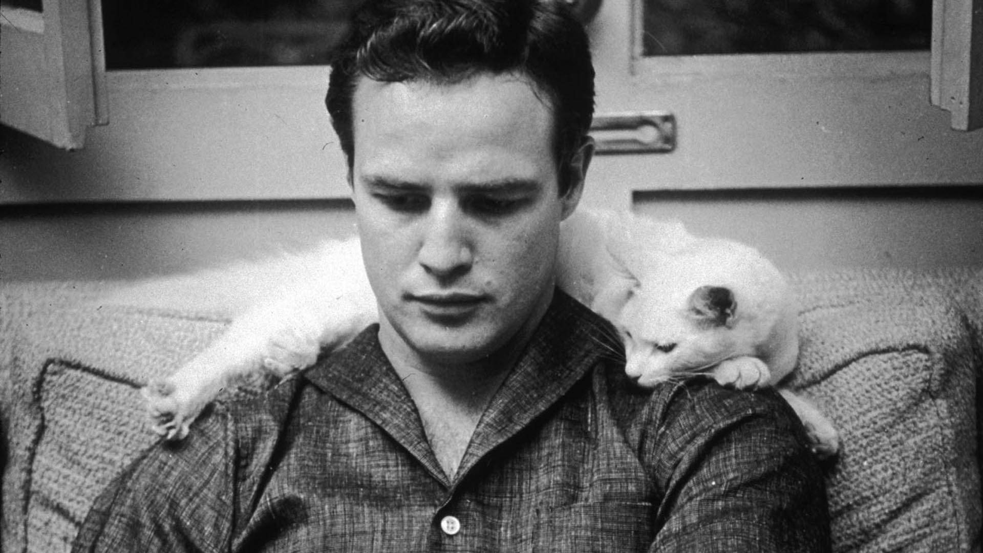 Marlon Brando And White Cat