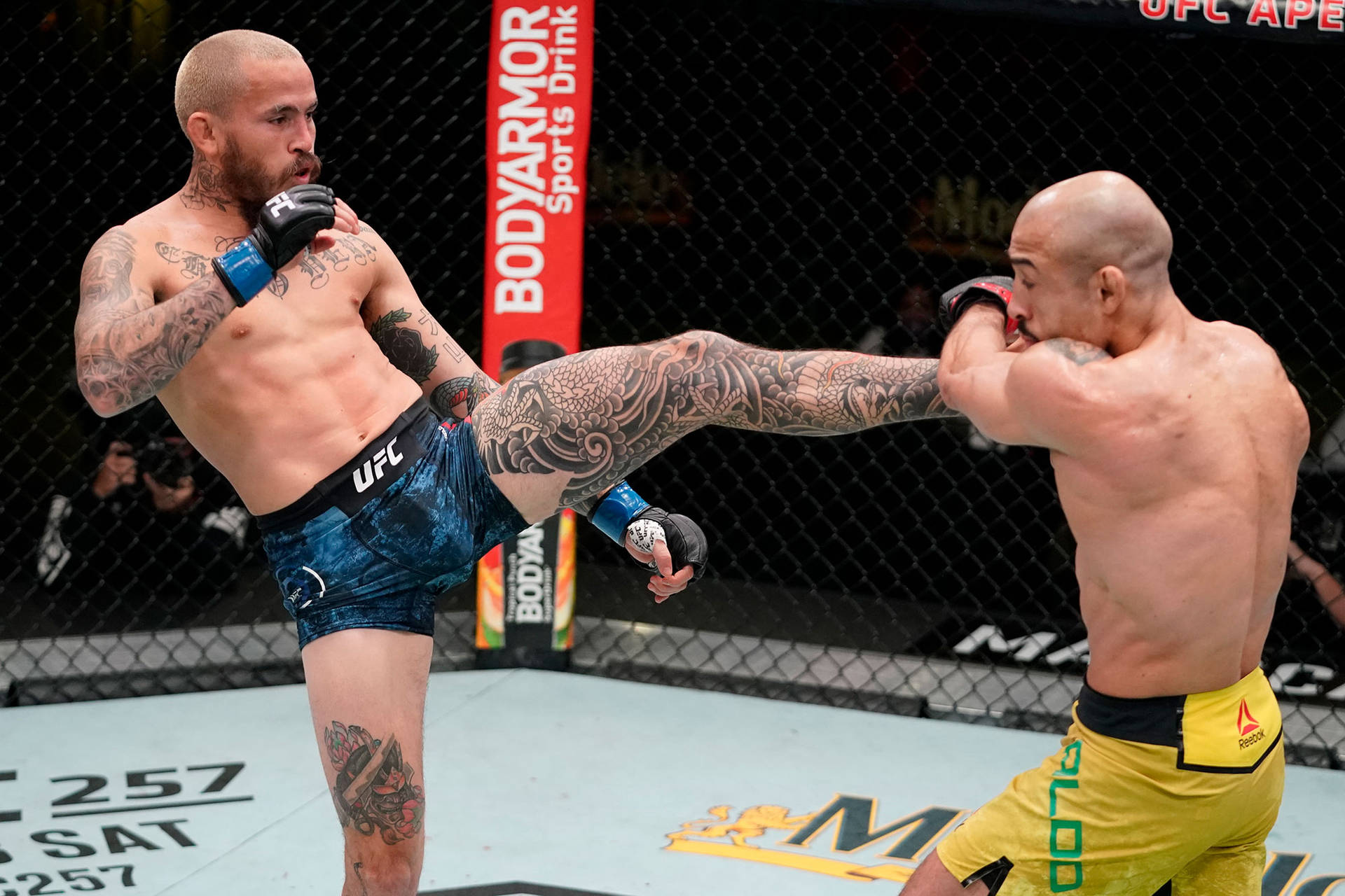 Marlon Vera All Leg Tattoo Kick Background