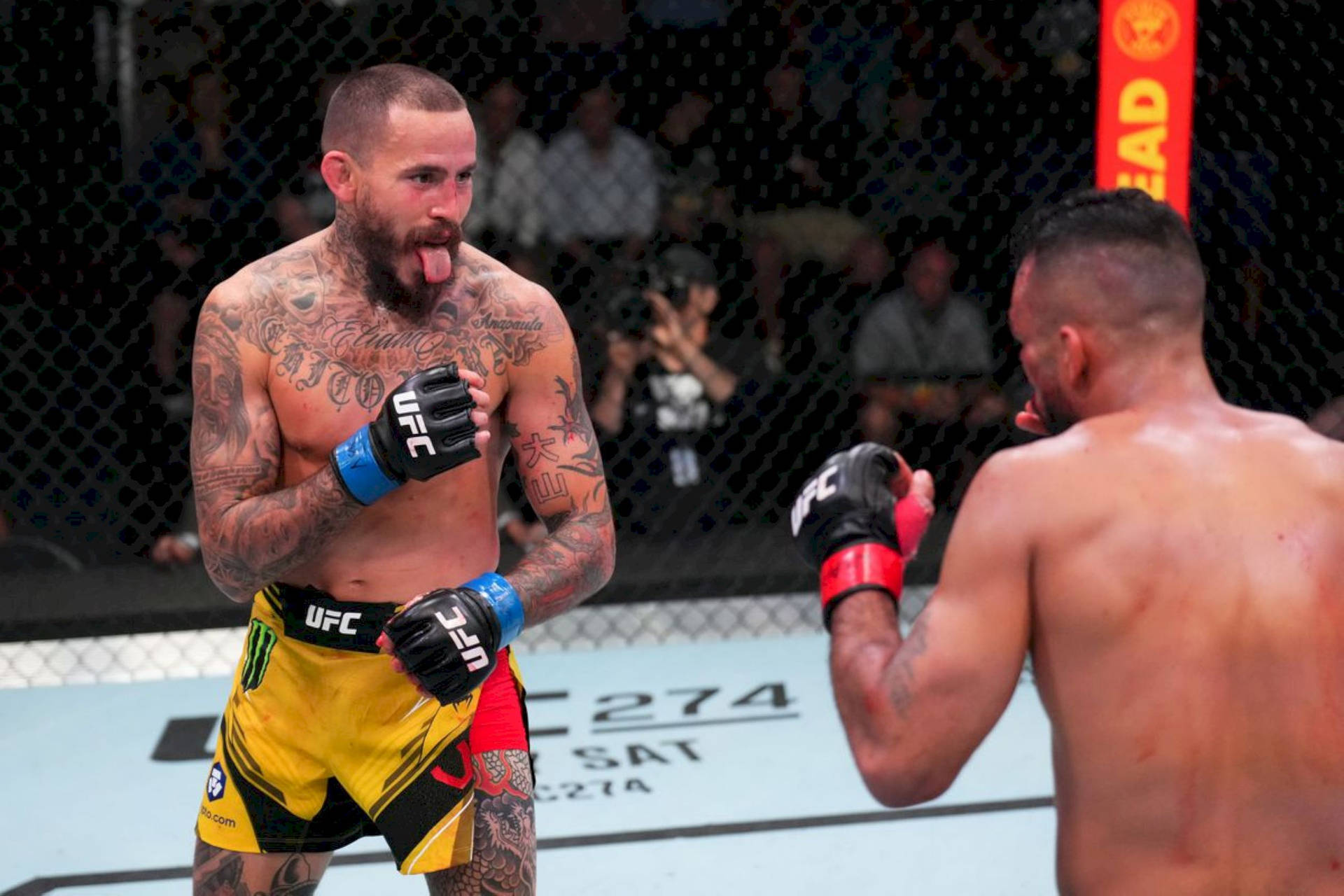 Marlon Vera And Rob Font Background