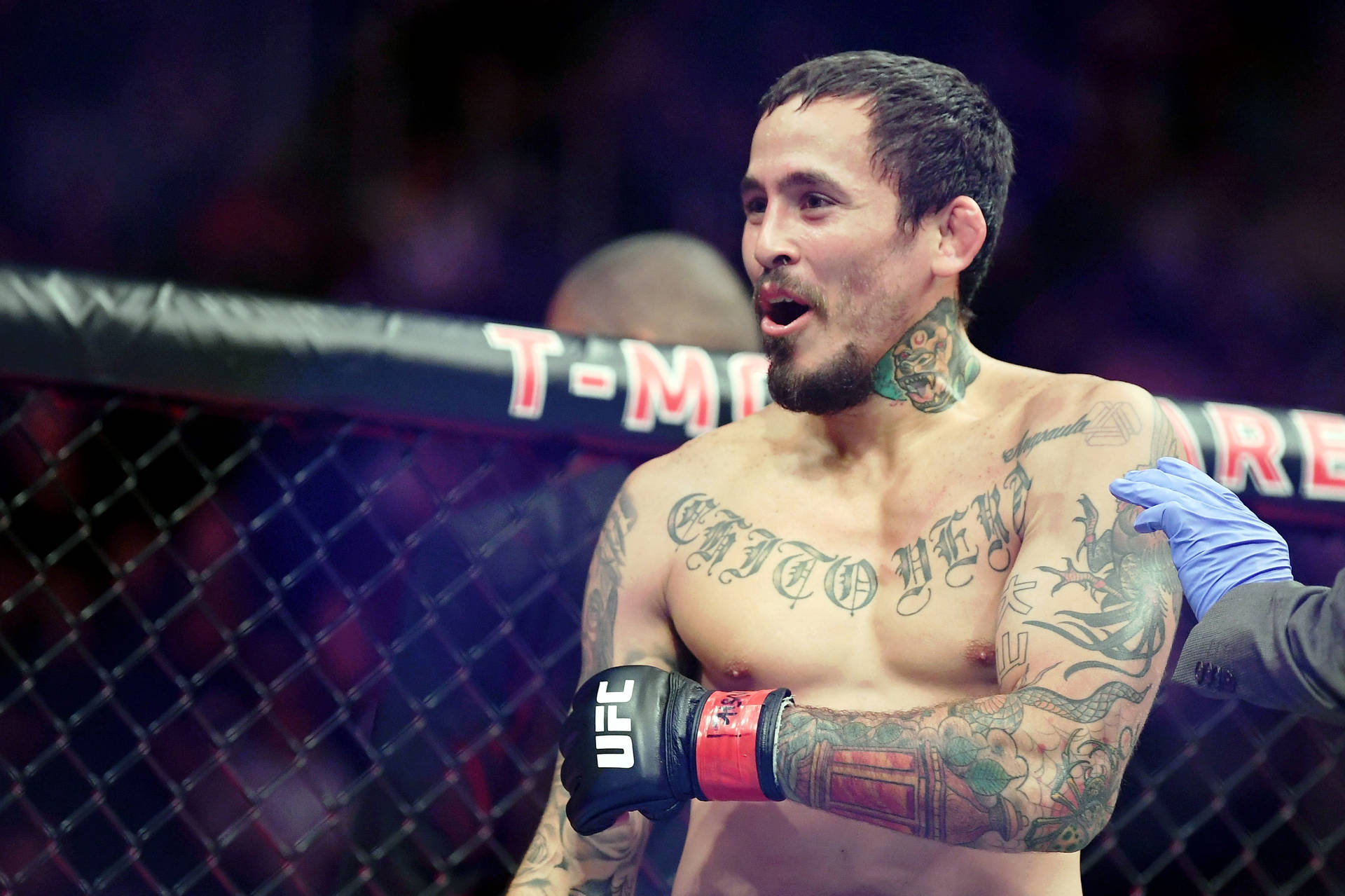 Marlon Vera, Demonstrating His Fighting Prowess Background