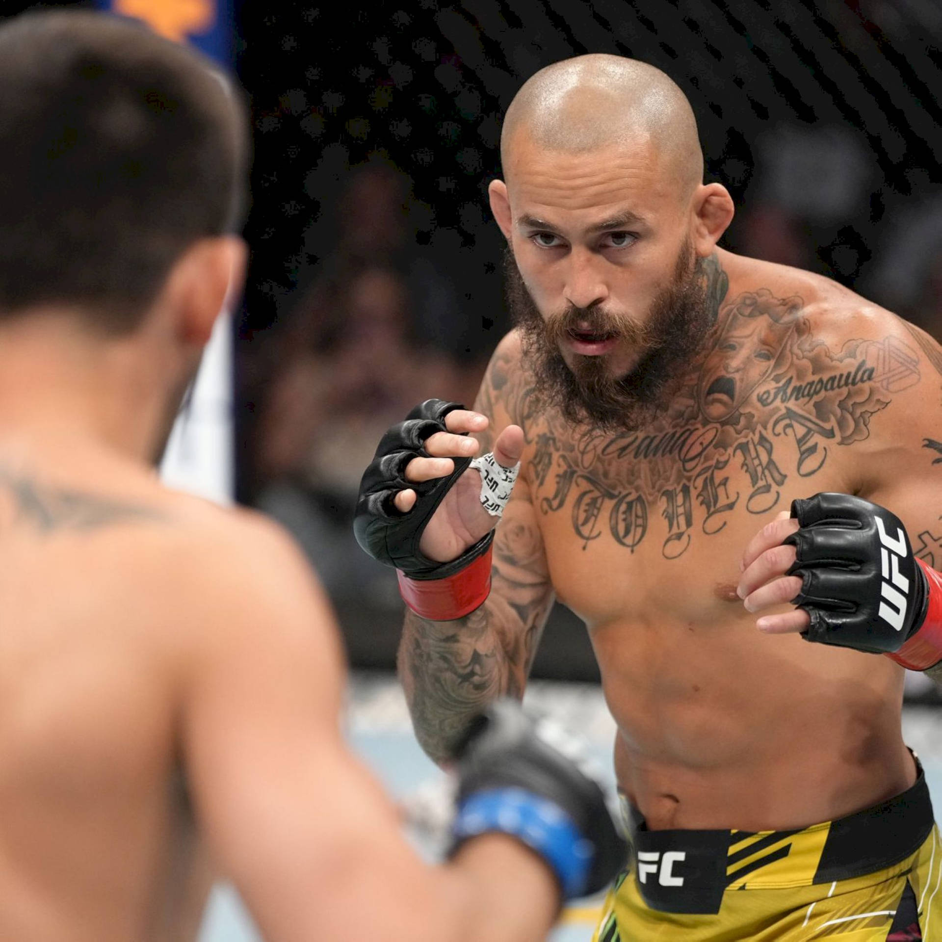 Marlon Vera Focused Background