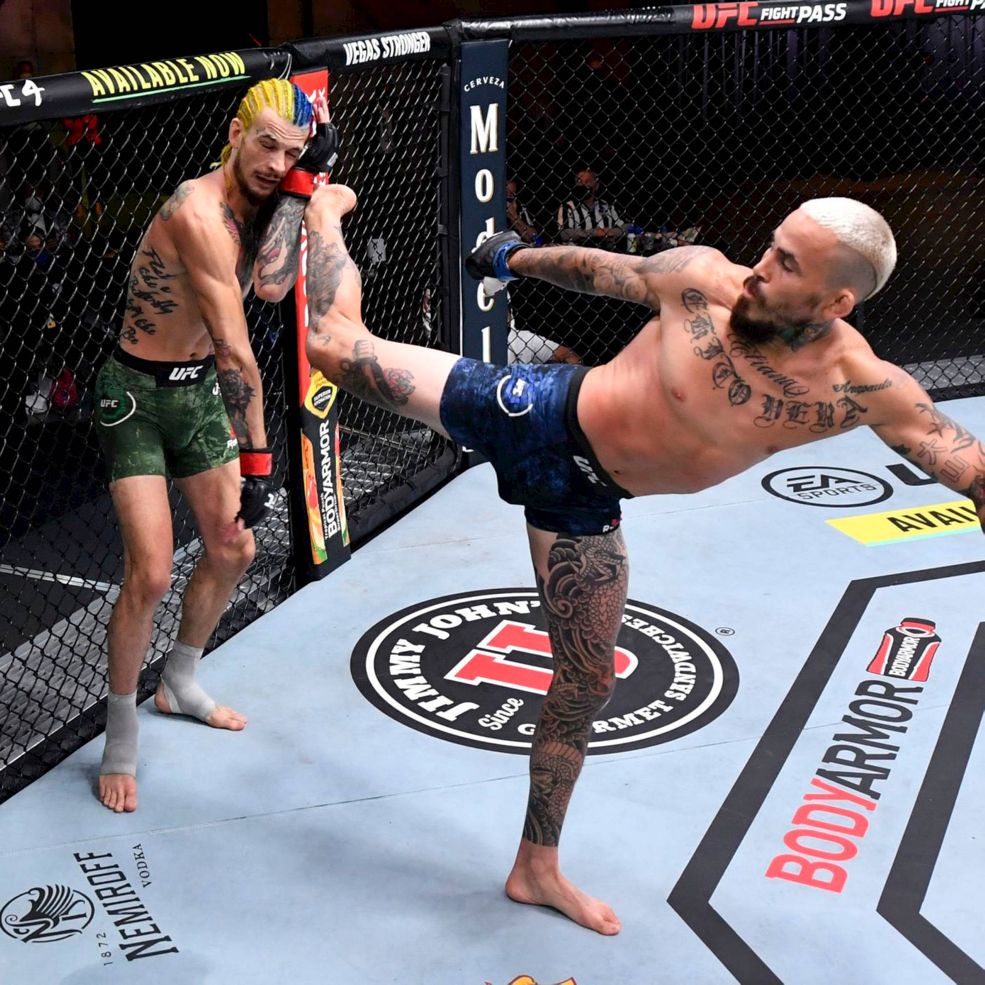 Marlon Vera Kick Blonde Background