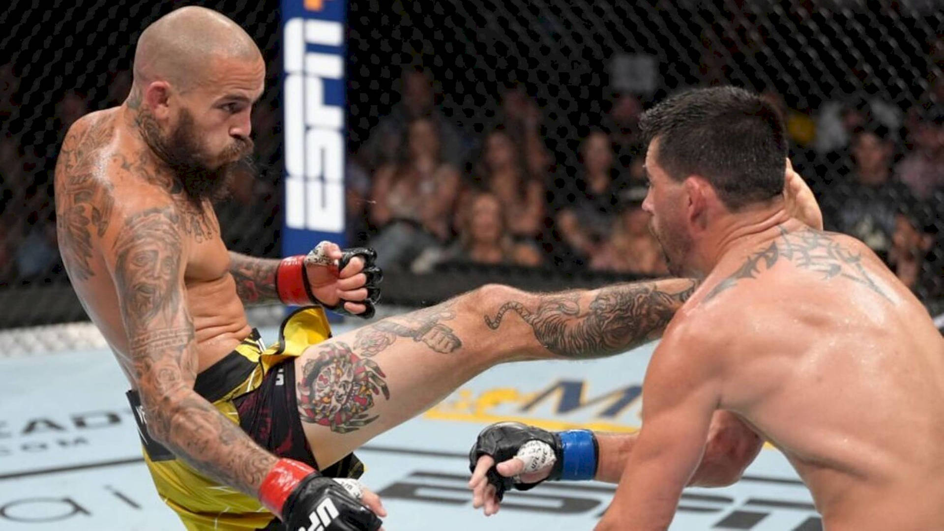 Marlon Vera Mid Kick Background