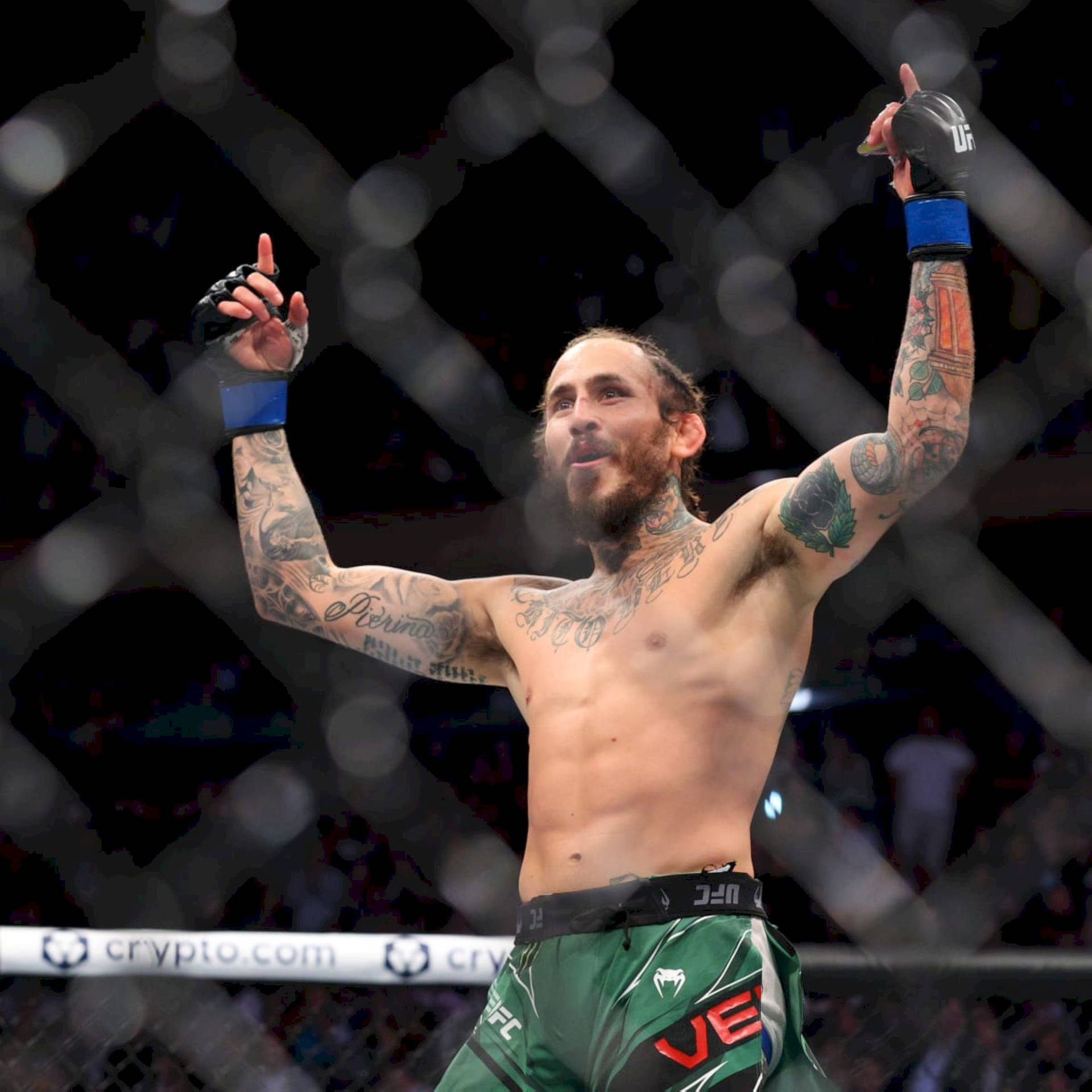 Marlon Vera Pointing Up Background