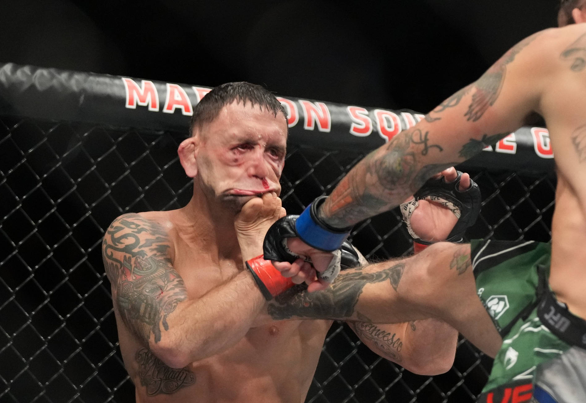 Marlon Vera Punched Background