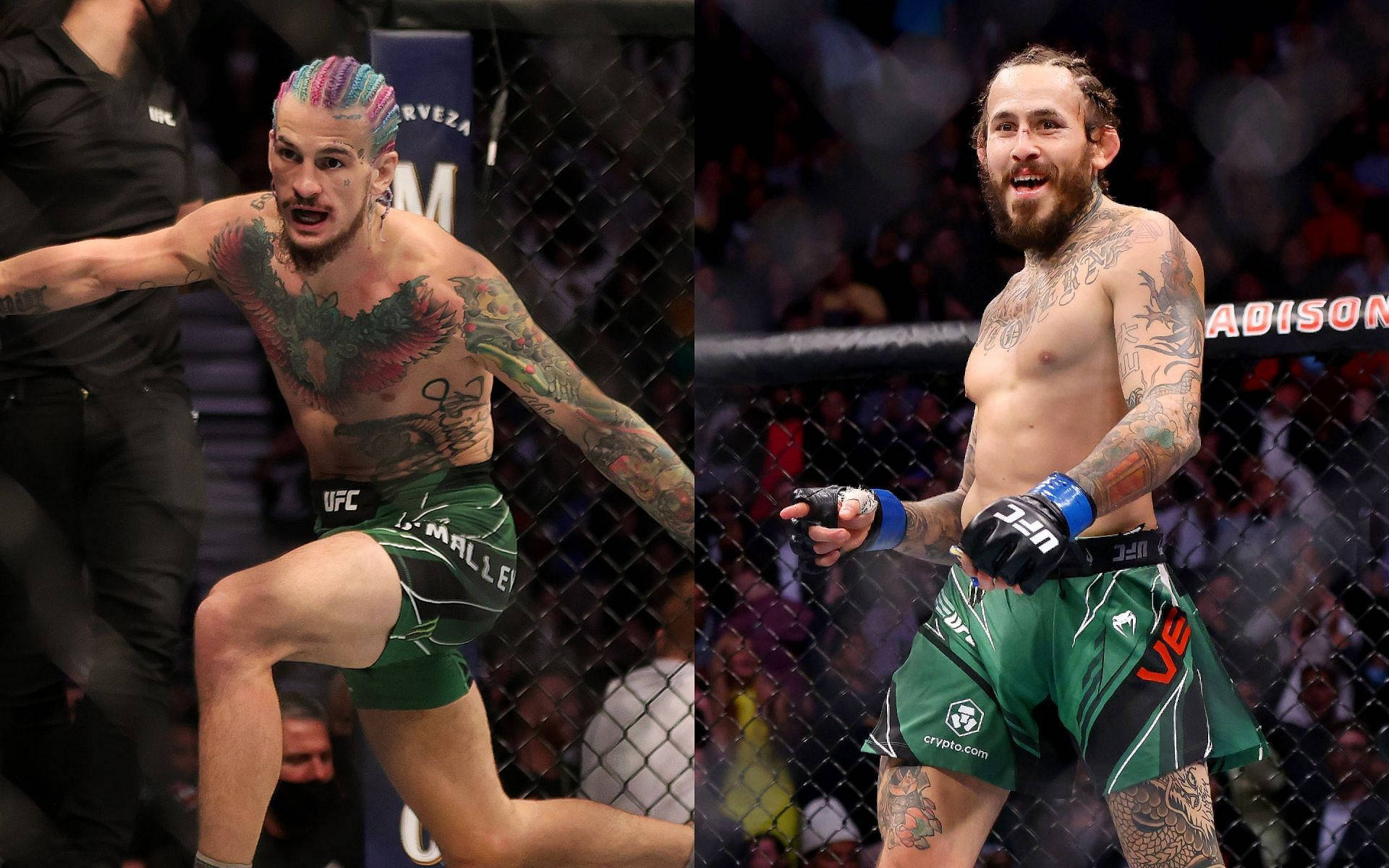 Marlon Vera Sean O'malley Background