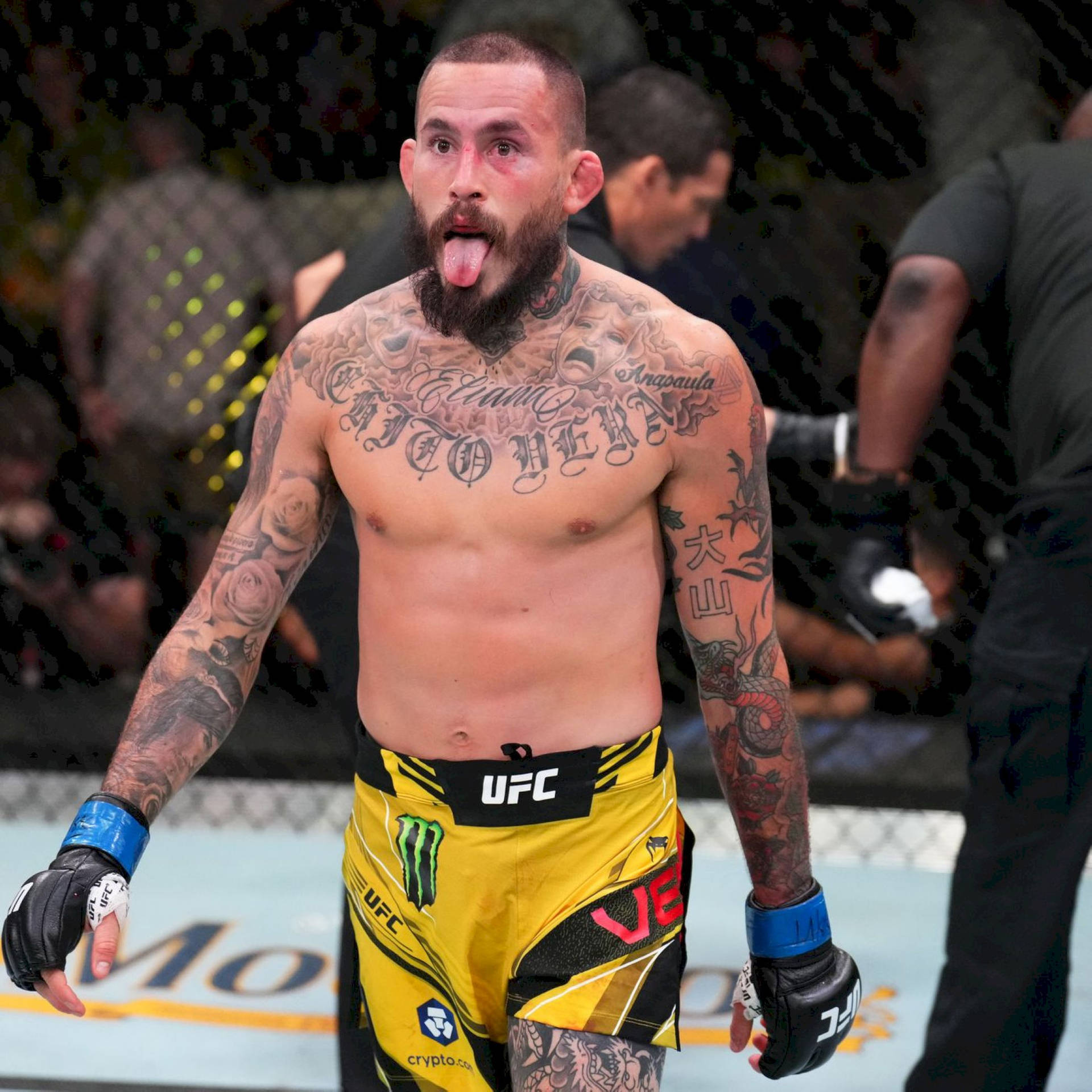 Marlon Vera Yellow Walking Background