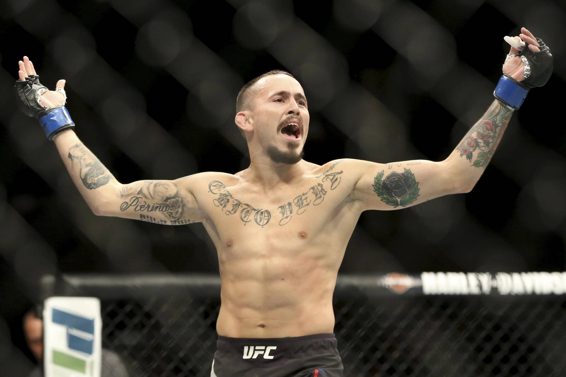 Marlon Vera Younger Background