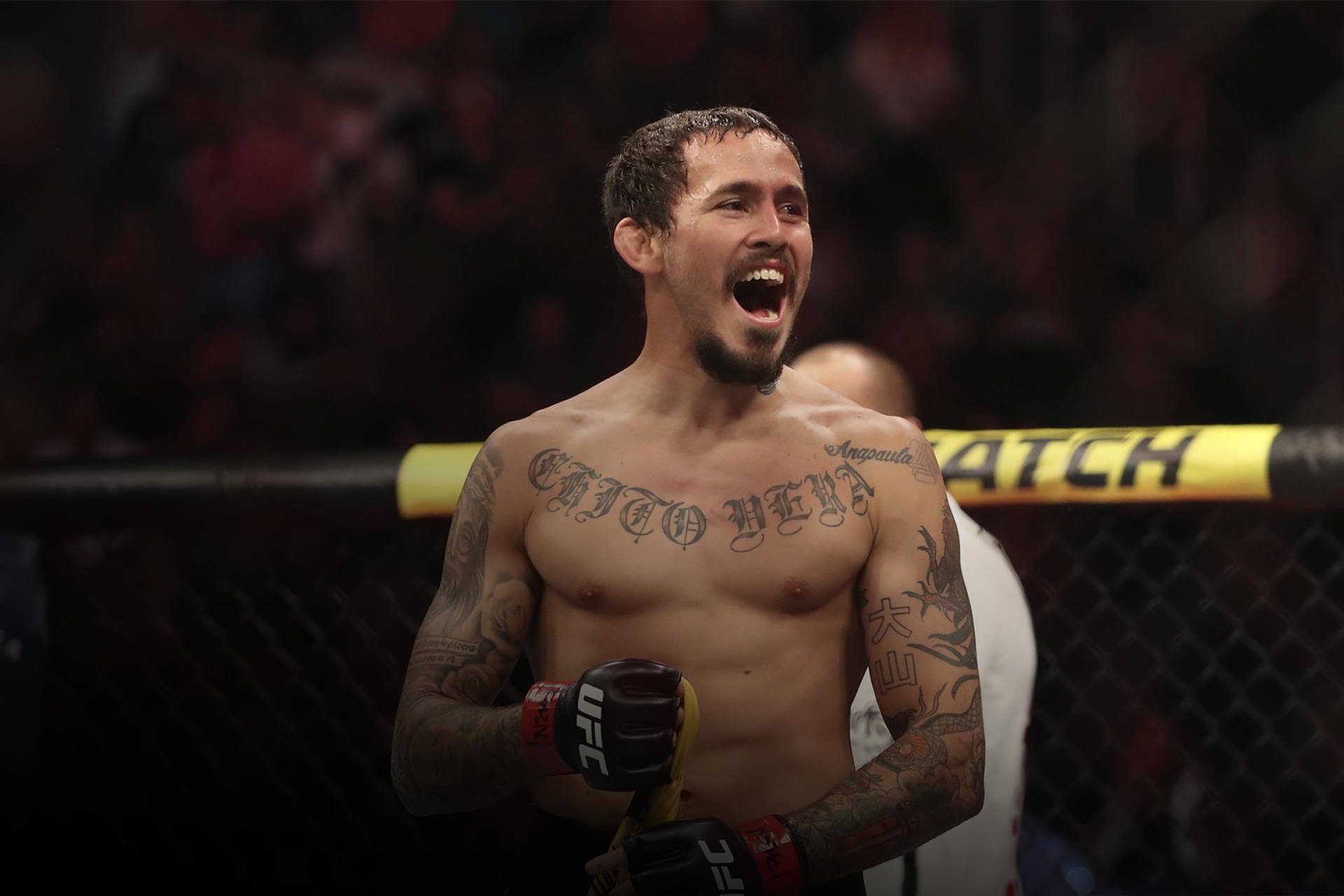 Marlon Vera Younger Mouth Open Background