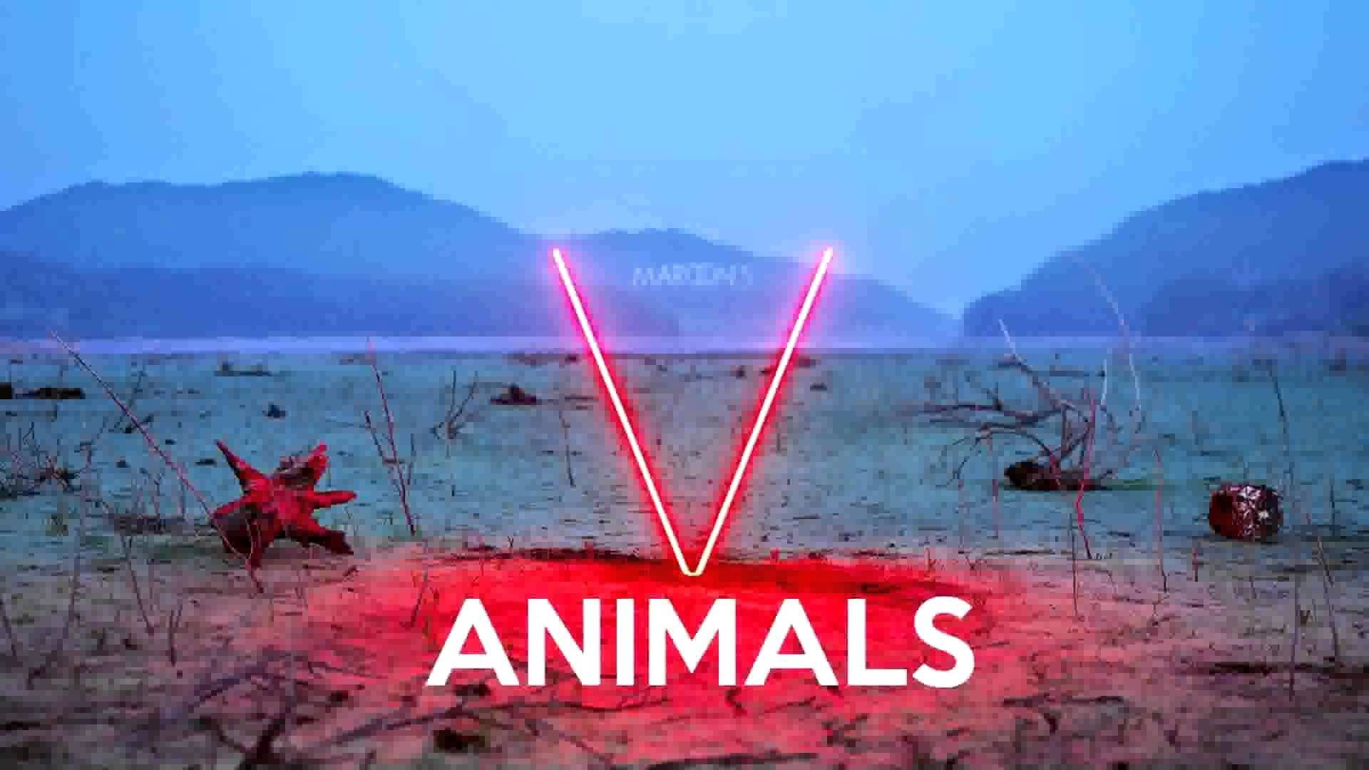 Maroon 5 Animals Cover Word