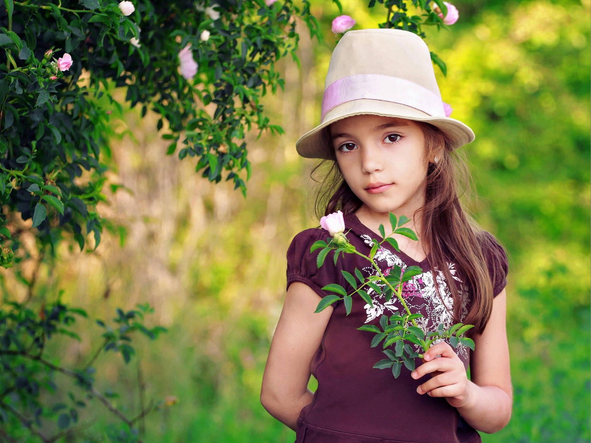 Maroon Dress Baby Girl Background