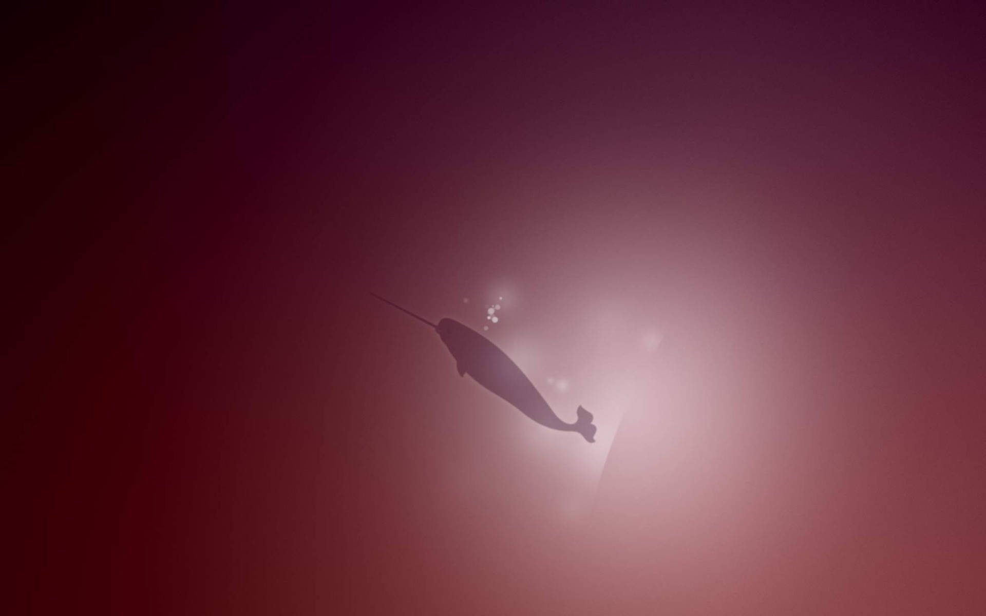Maroon Narwhal Silhouette Background