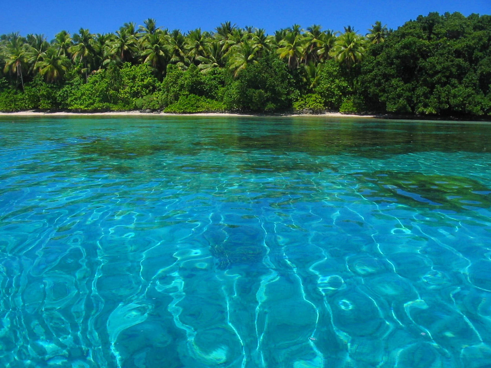 Marshall Islands Blue Green Sea Background