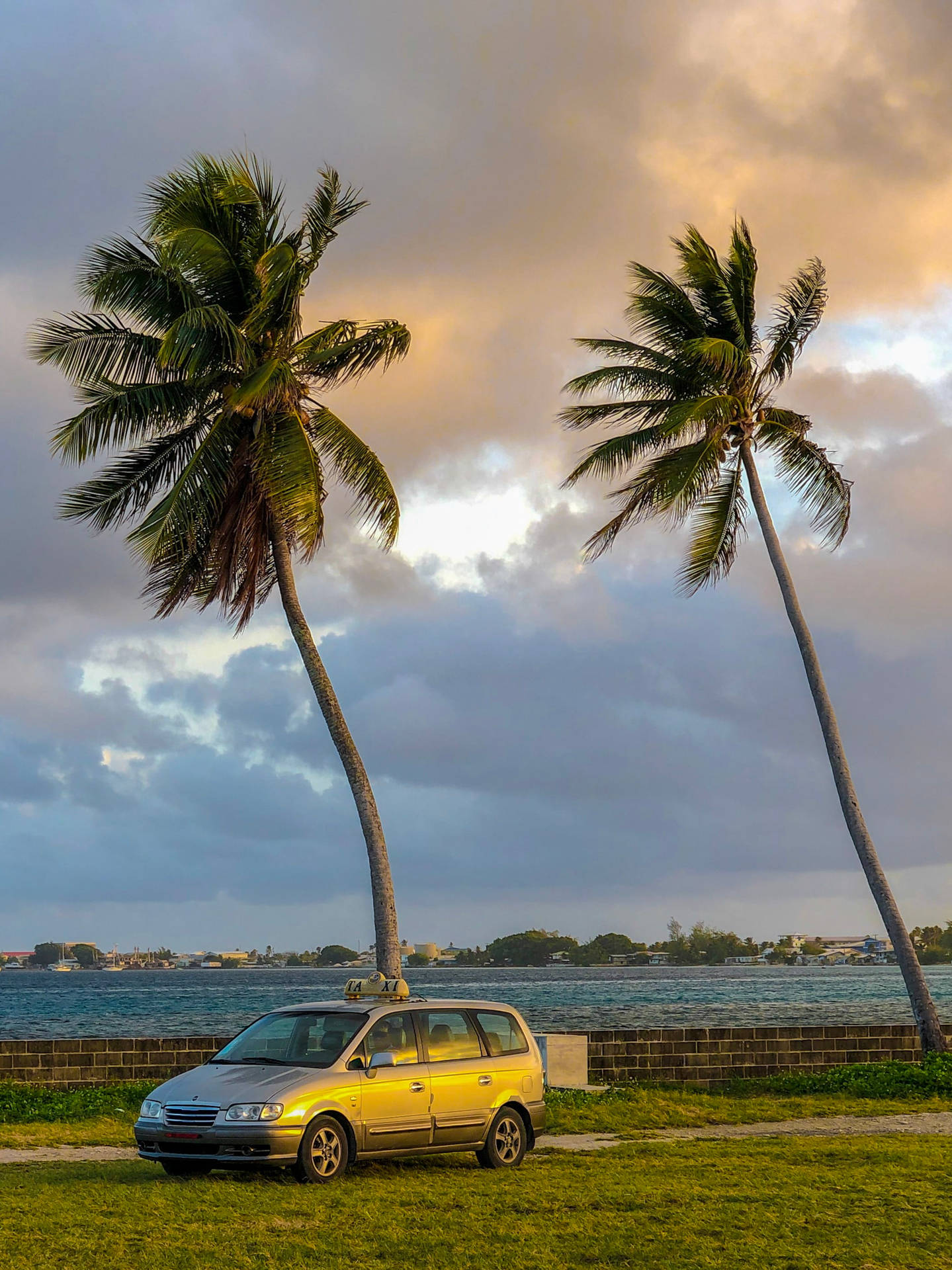 Marshall Islands Car With Palm Trees Background