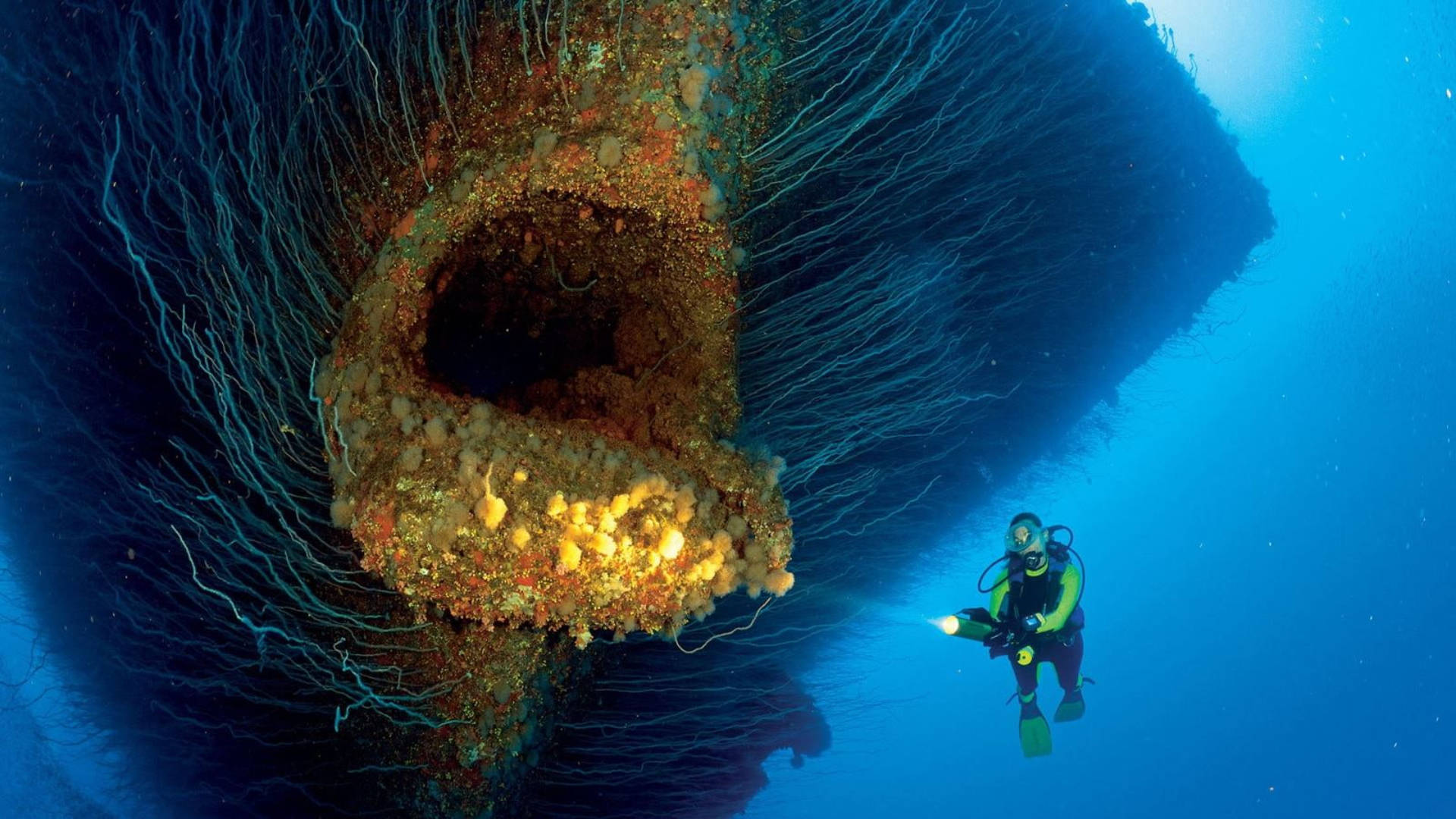 Marshall Islands Gigantic Reef