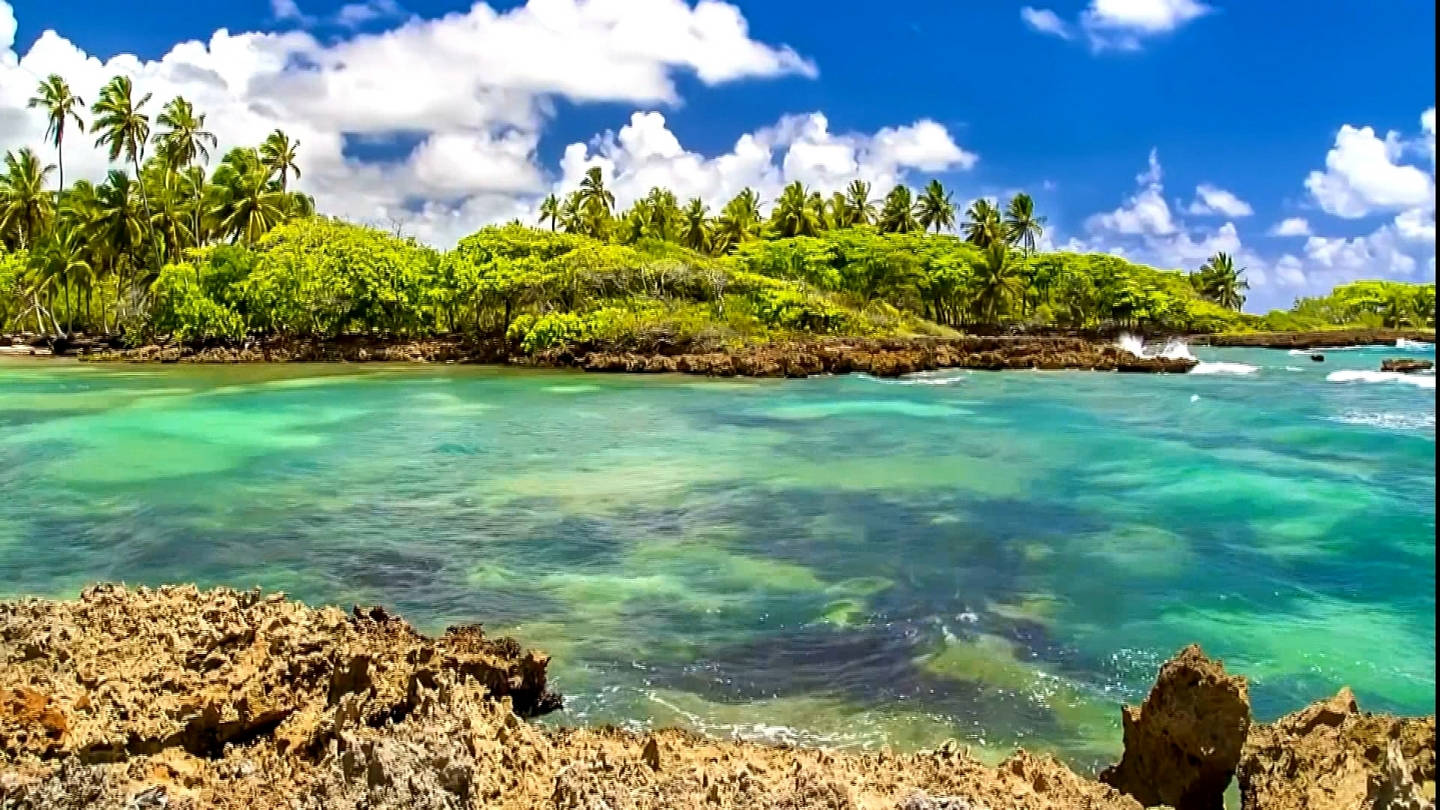 Marshall Islands River Mouth Background