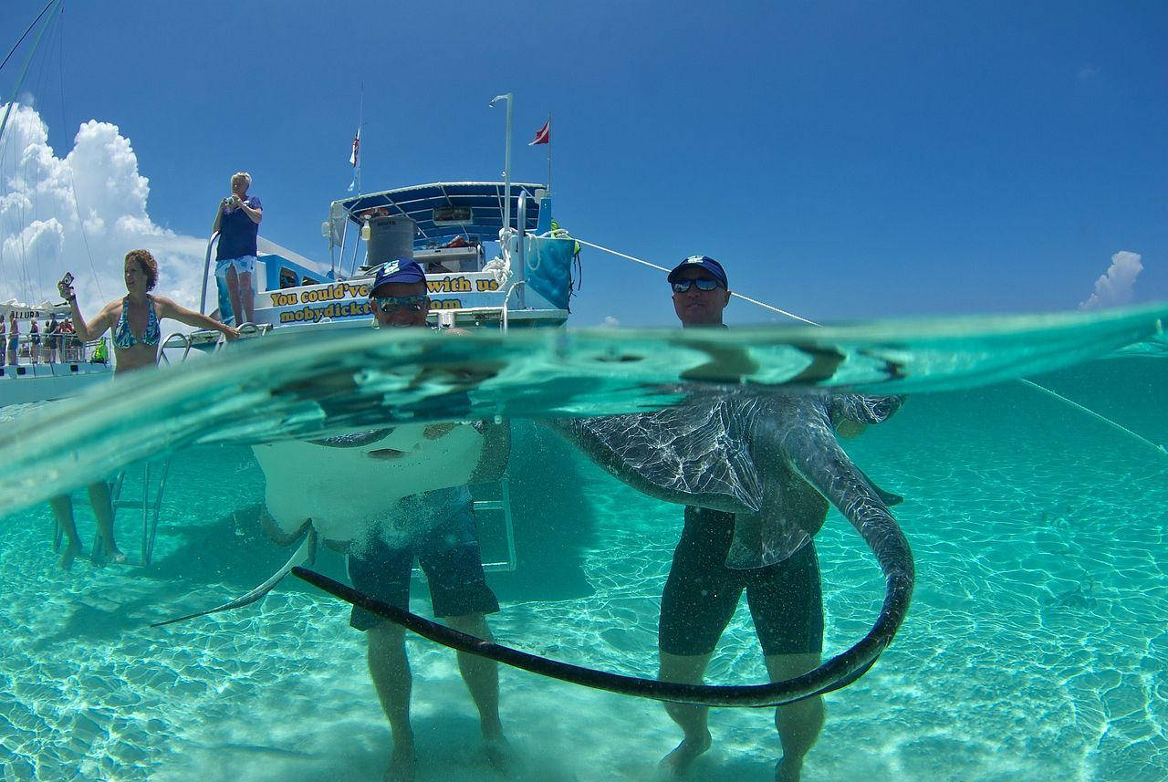 Marshall Islands Stingray With Fishermen Background