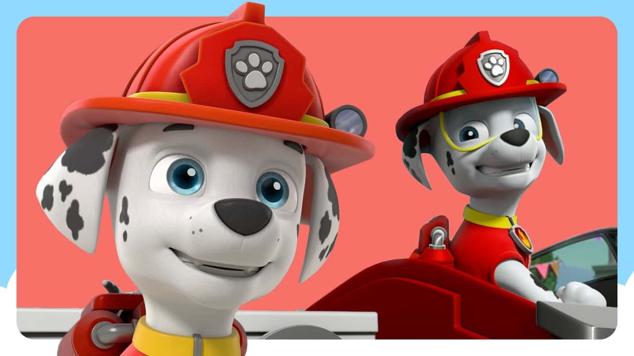 Marshall Paw Patrol Fire Pups Background