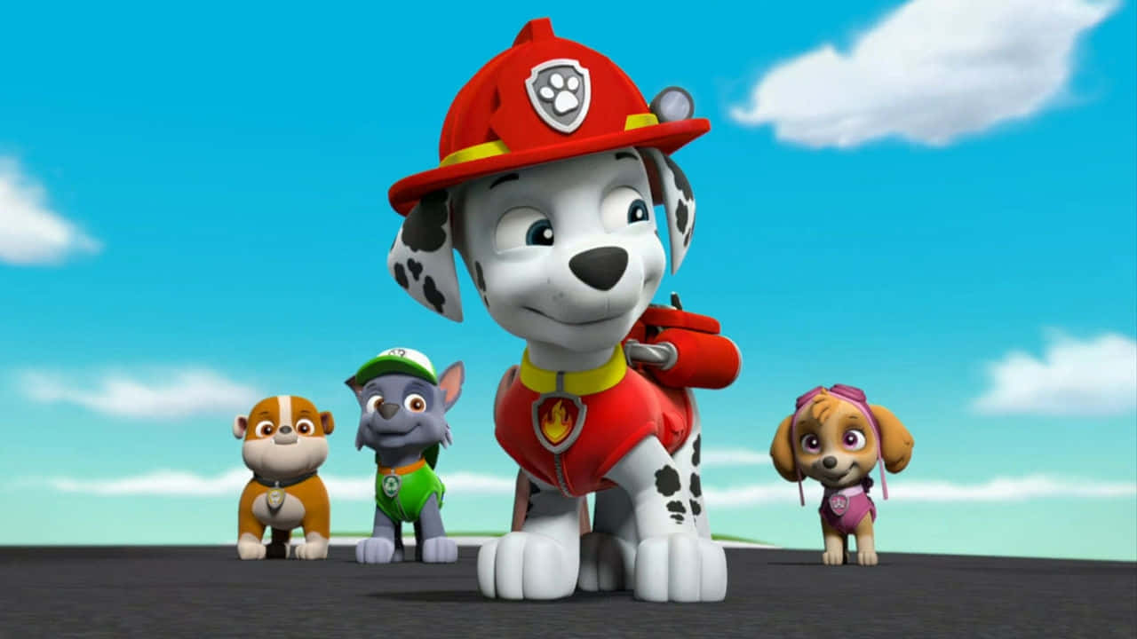 Marshalland Paw Patrol Team Background
