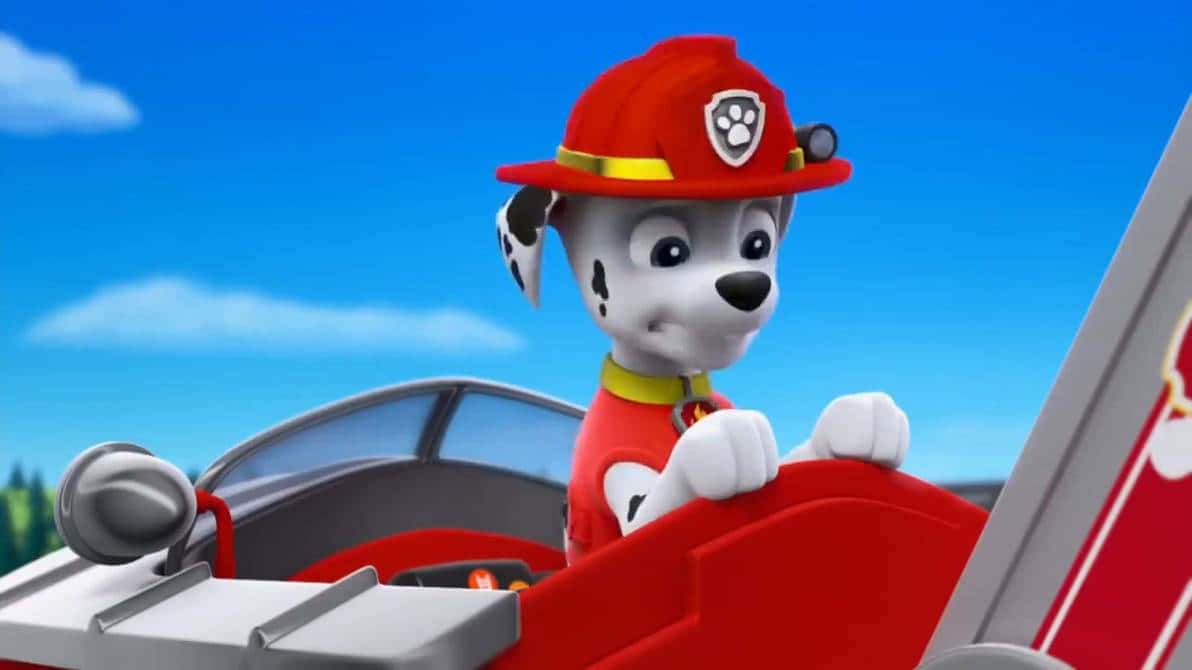Marshallin Fire Truck Paw Patrol Background
