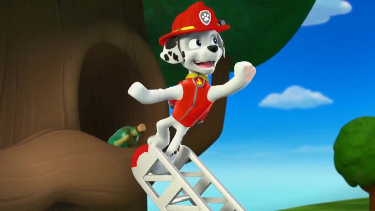 Marshallon Ladder Paw Patrol Background