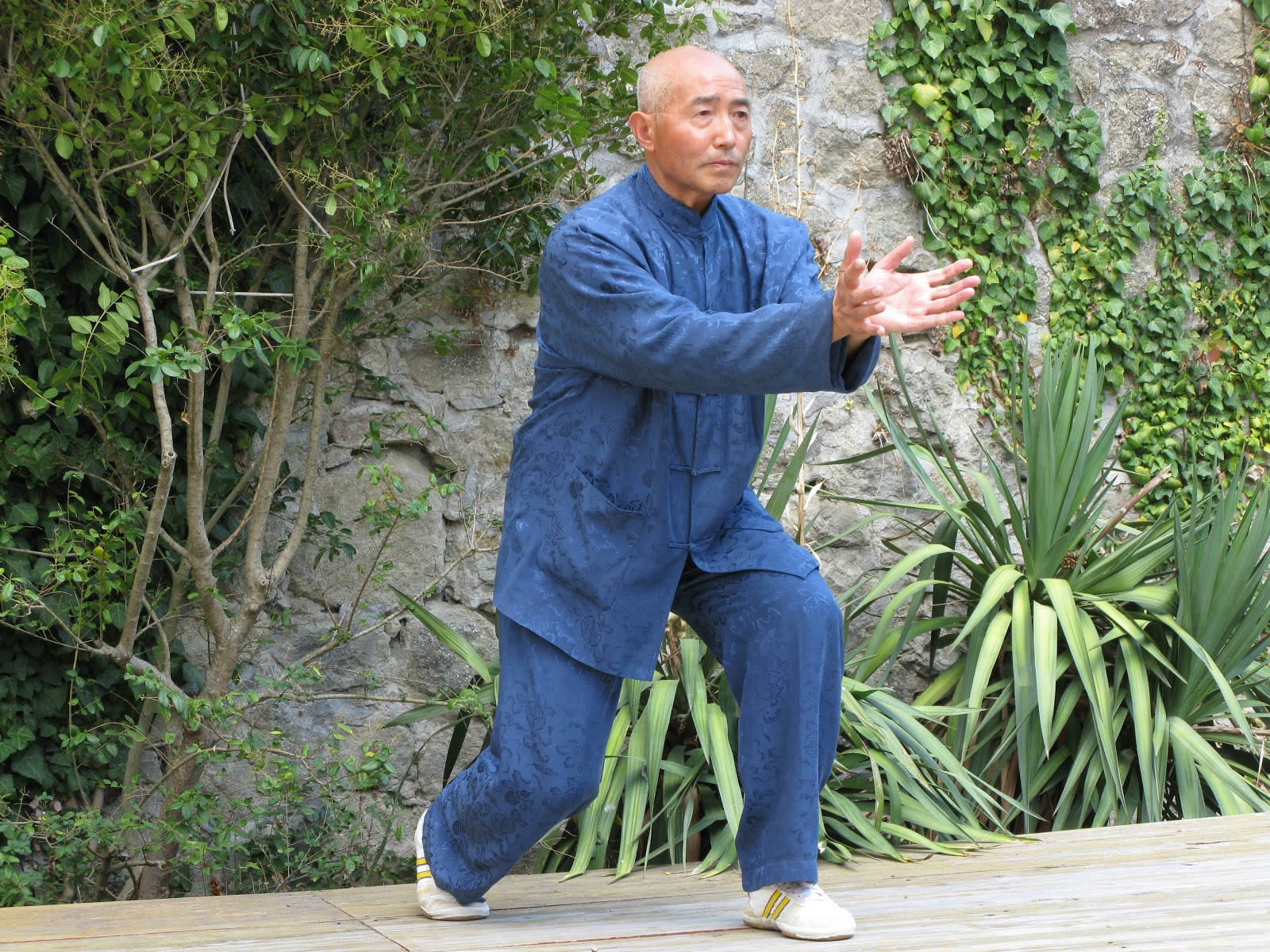 Martial Artist George Xu Practicing Qi Gong Background