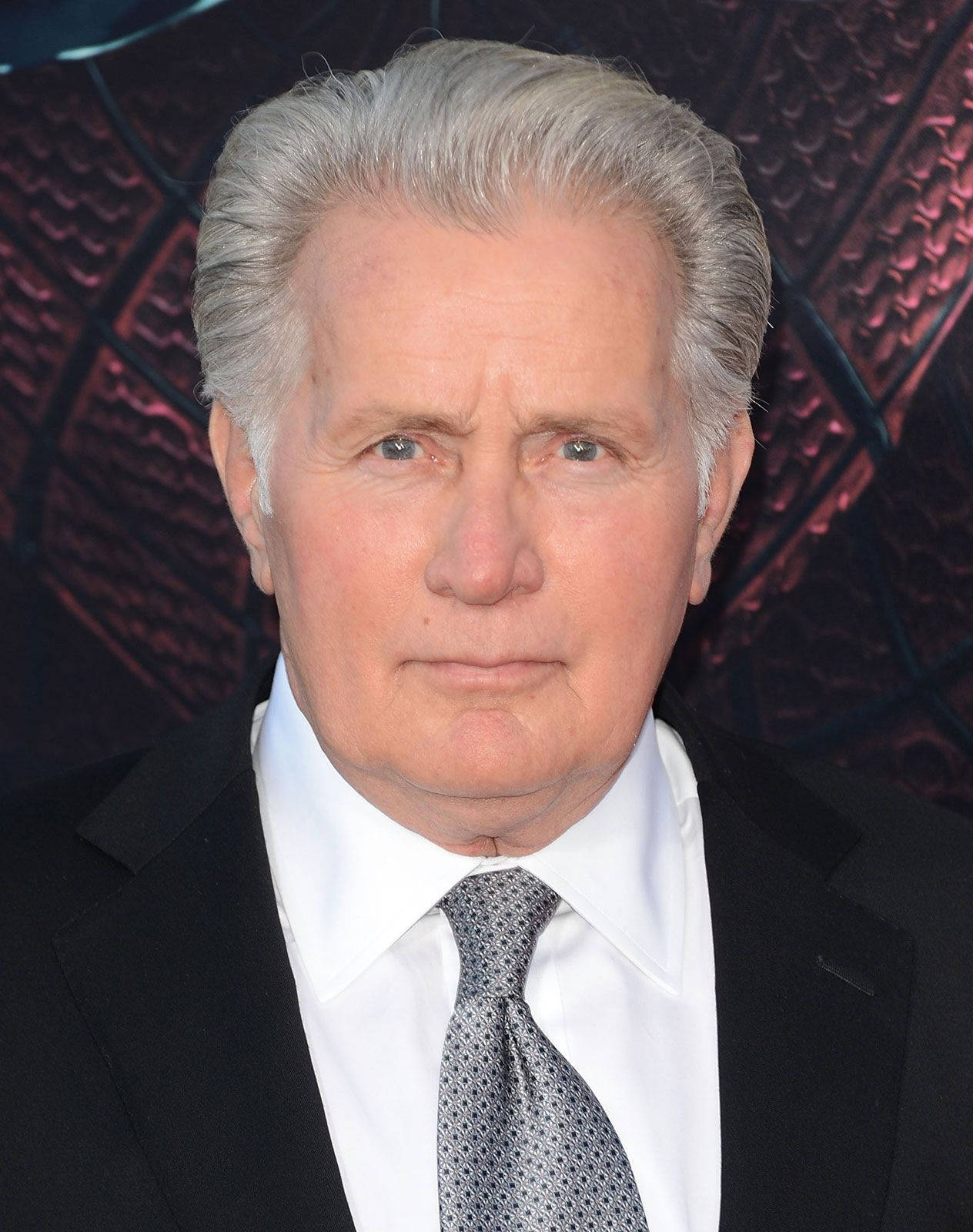 Martin Sheen The Amazing Spider-man Premiere