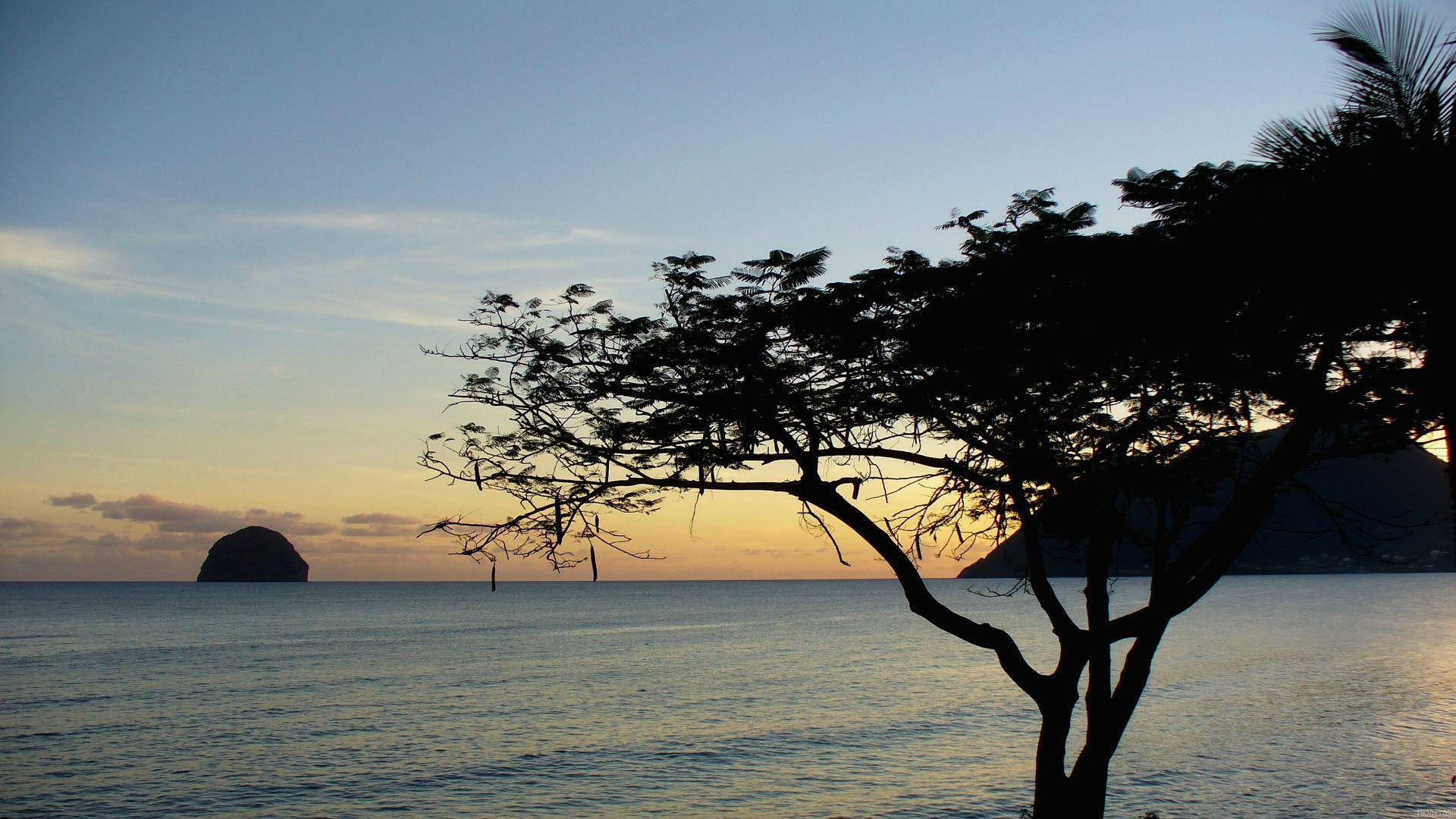 Martinique Island Caribbean Silhouette Background