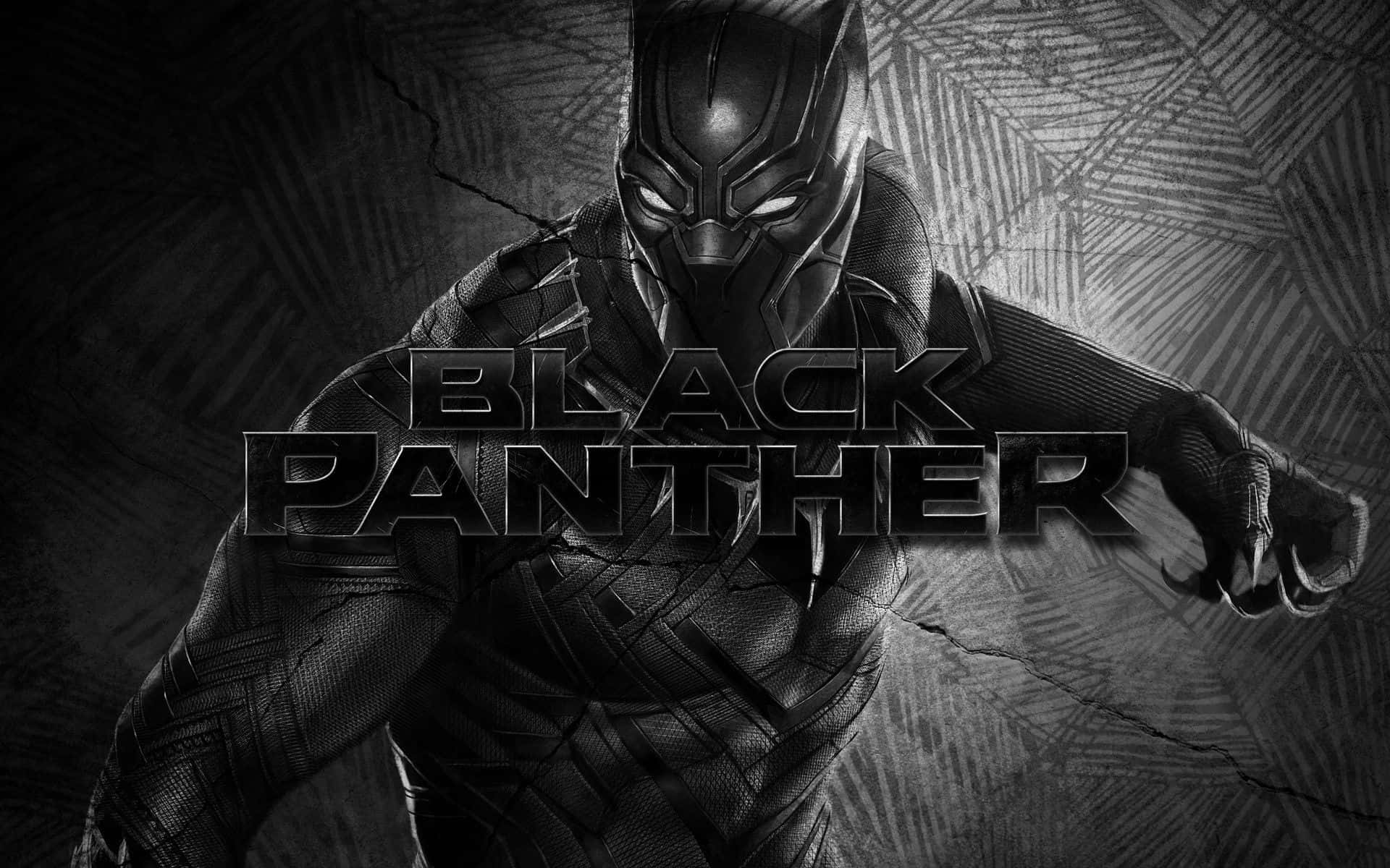 Marvel Black And White Black Panther Being Cautious Background