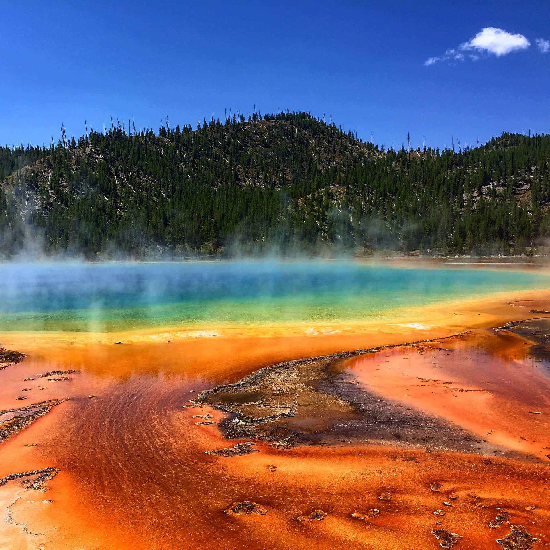 Marvel In The Breathtaking Views Of Yellowstone National Park Background