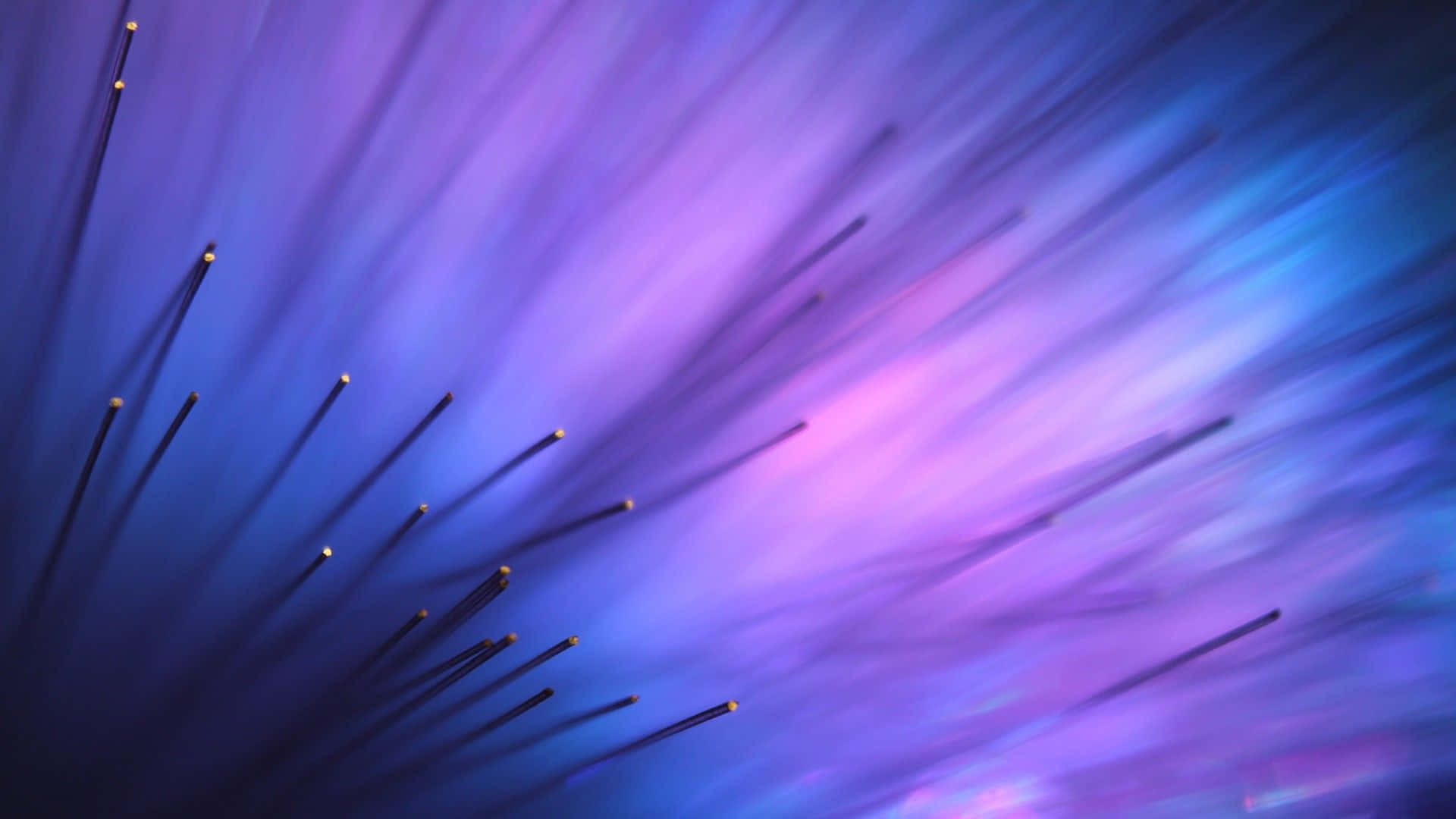 Marvel In The Vibrant Colors Of The Purple And Blue Ombre Background