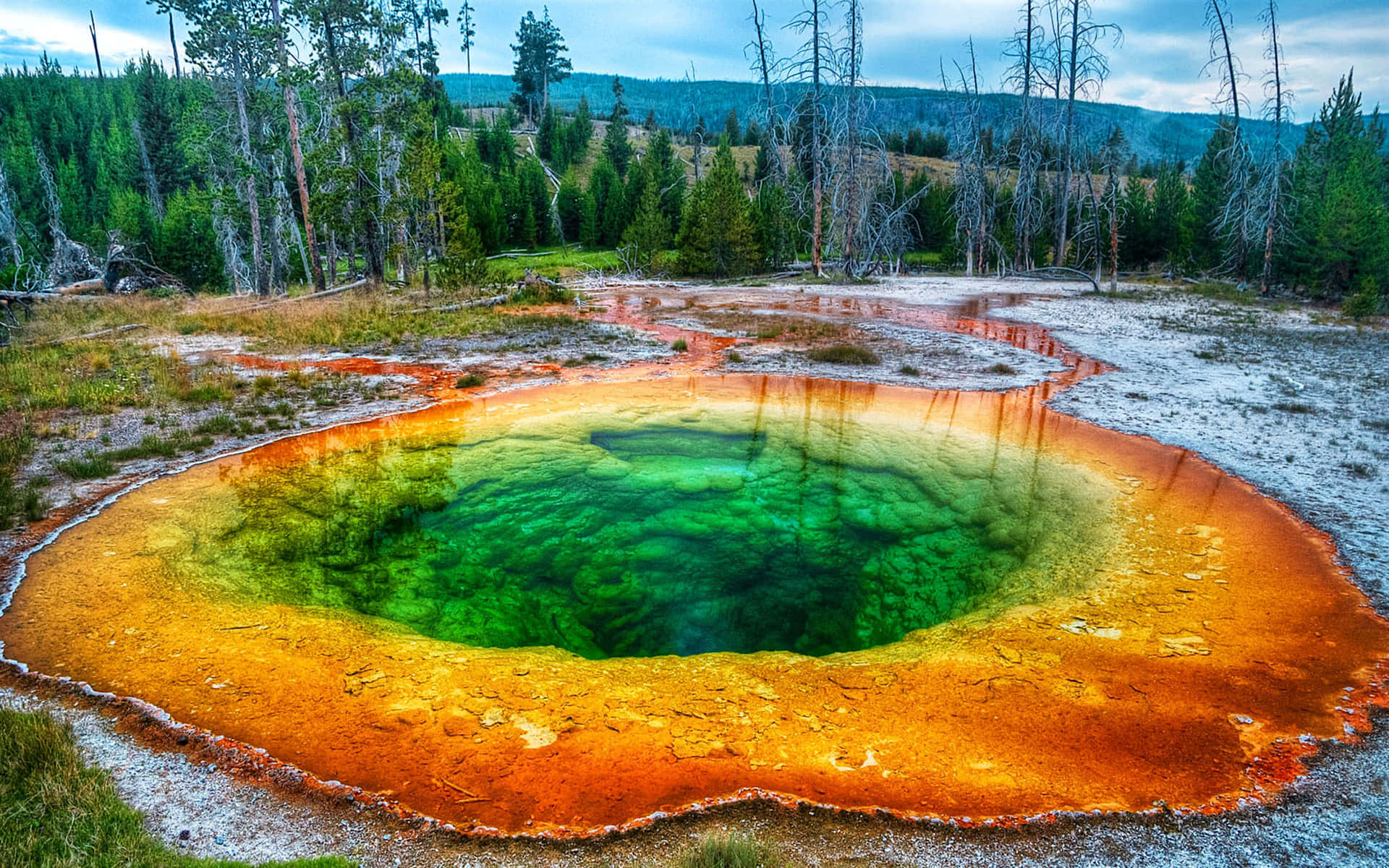 Marvelous Sunrise At Grand Prismatic Spring In Yellowstone National Park