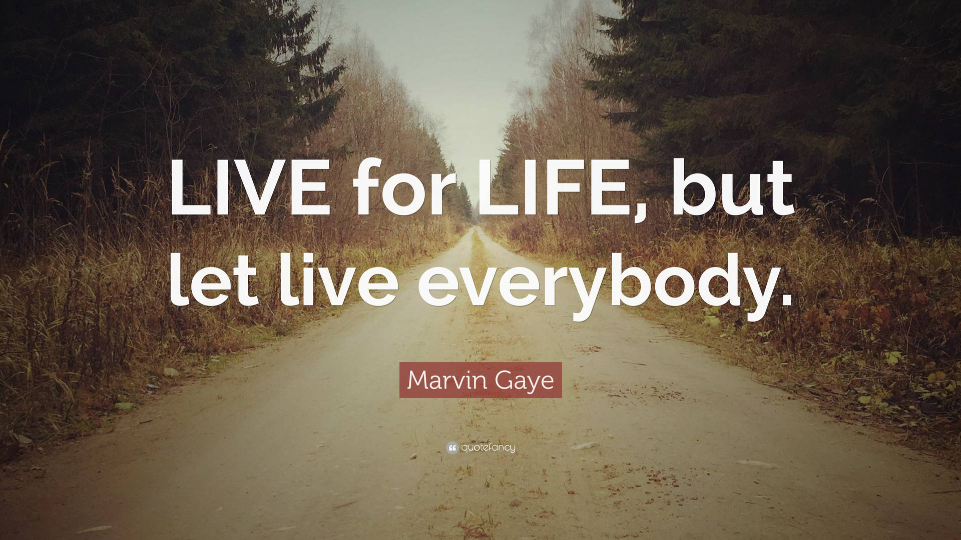 Marvin Gaye Live For Life Quote Background