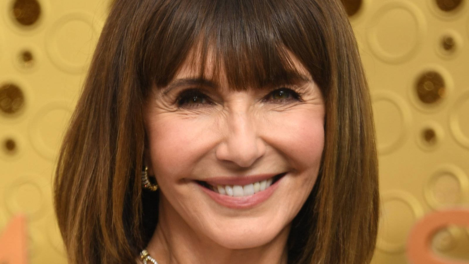 Mary Steenburgen Cosmetic Surgery Background