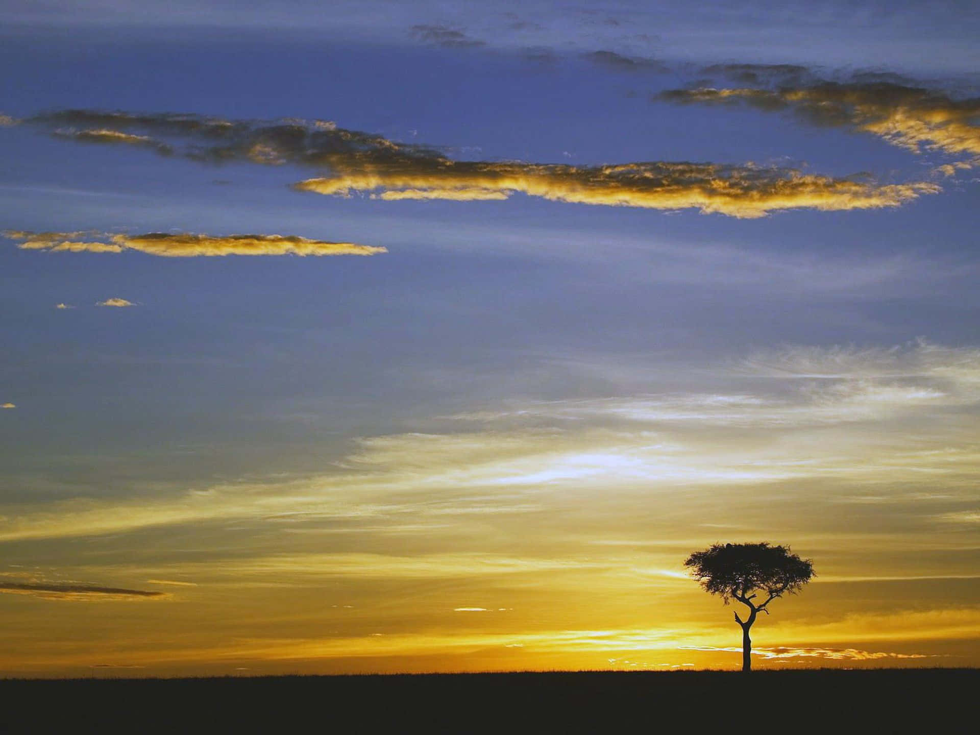 Masai Mara National Reserve Background