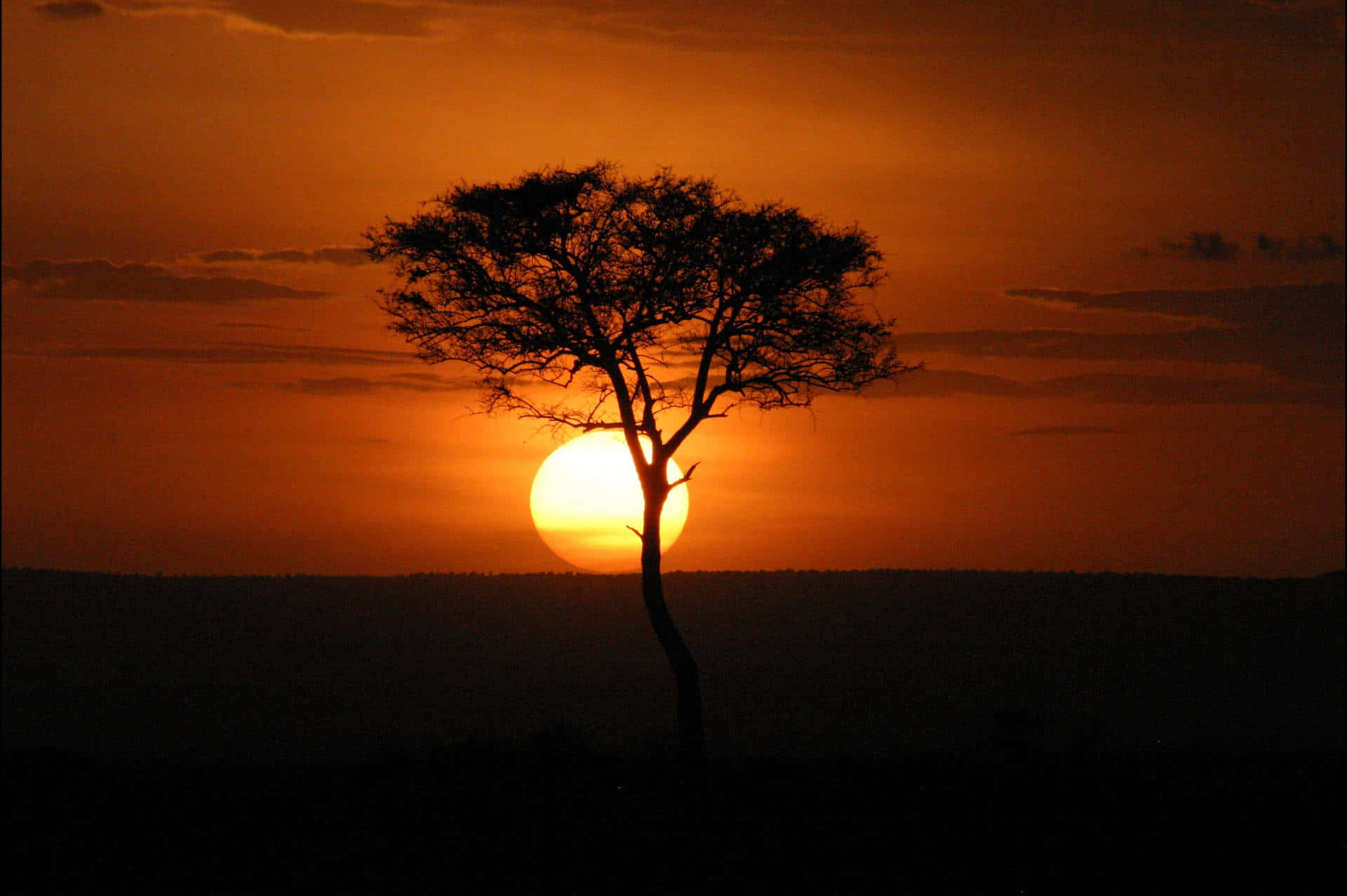 Masai Mara National Reserve At Sunset Background