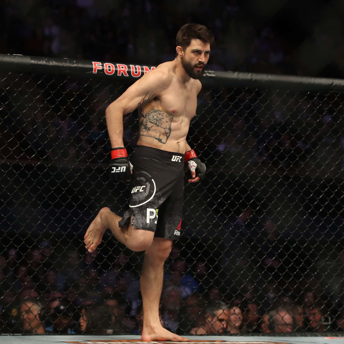 Masculine Ufc Fighter Carlos Condit Background