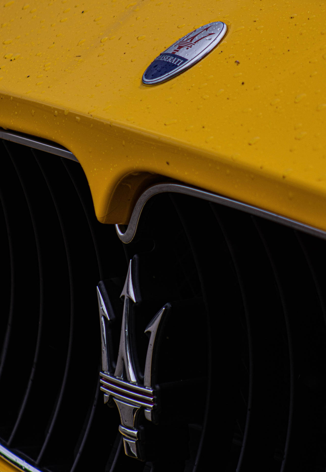 Maserati Trident Logo Background