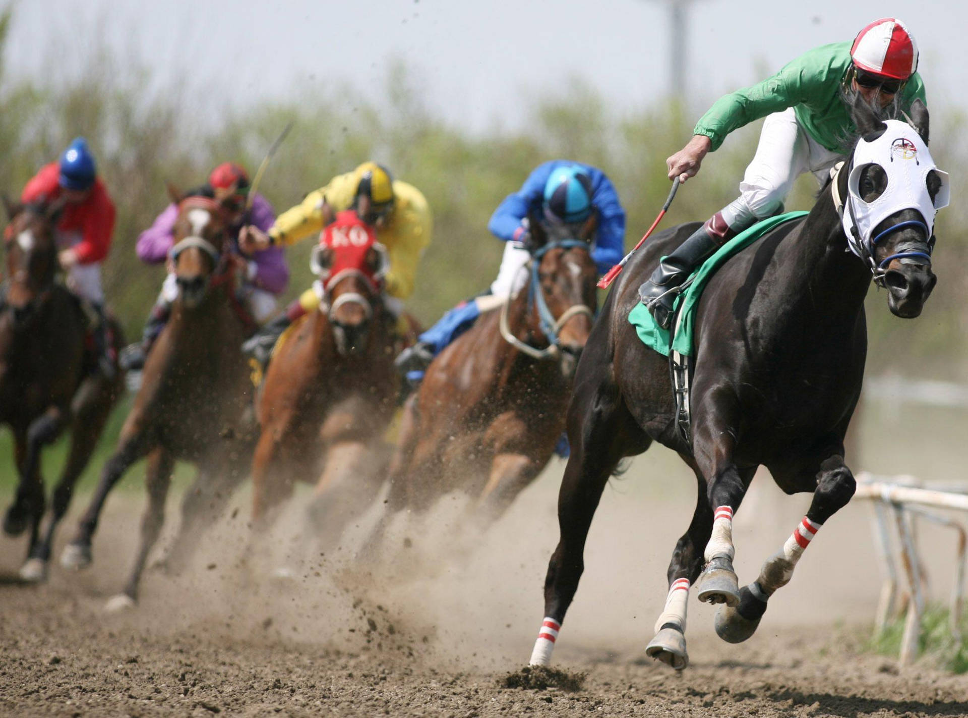 Masked Horses In A Horse Racing Background