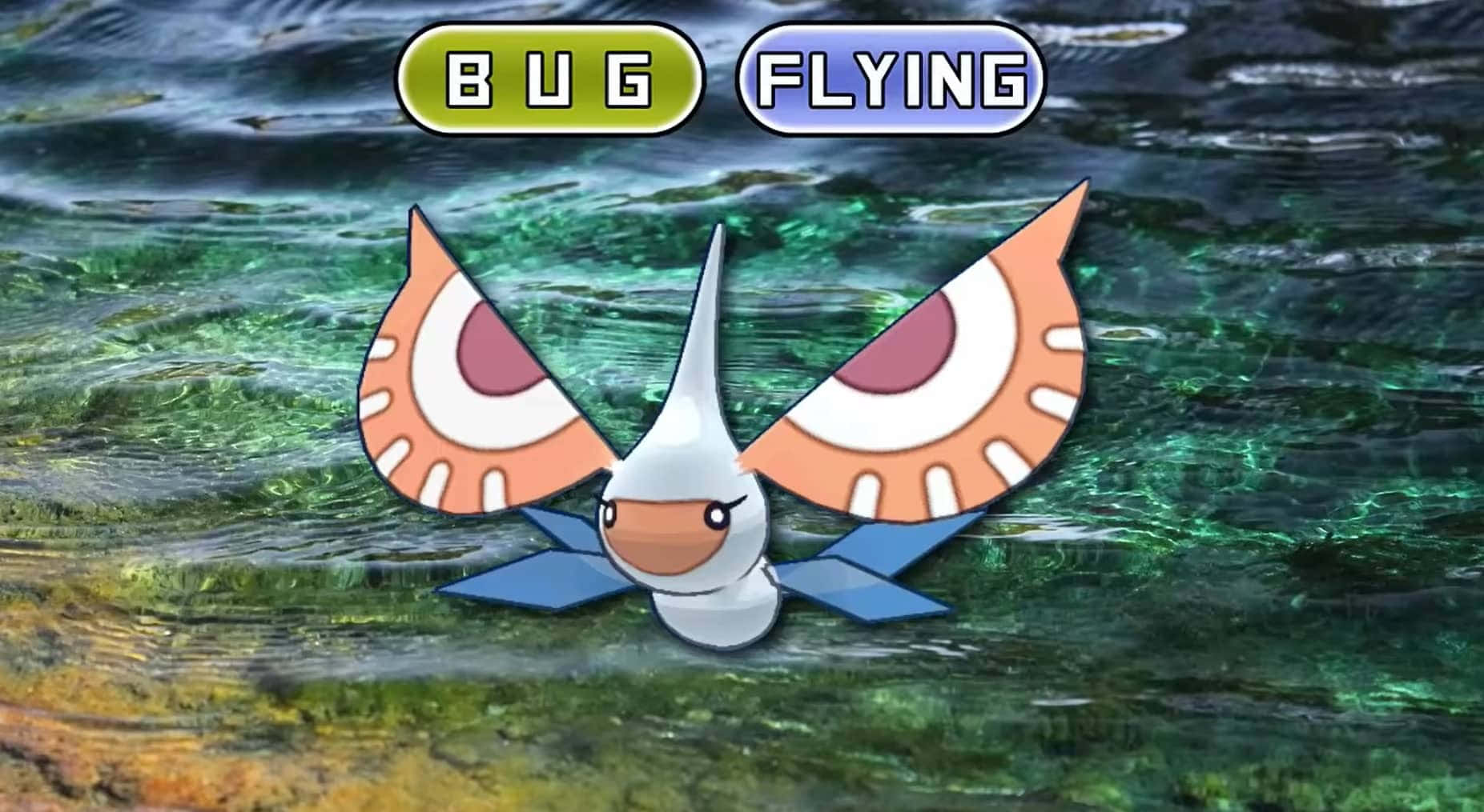 Masquerain Flying Near Water Background