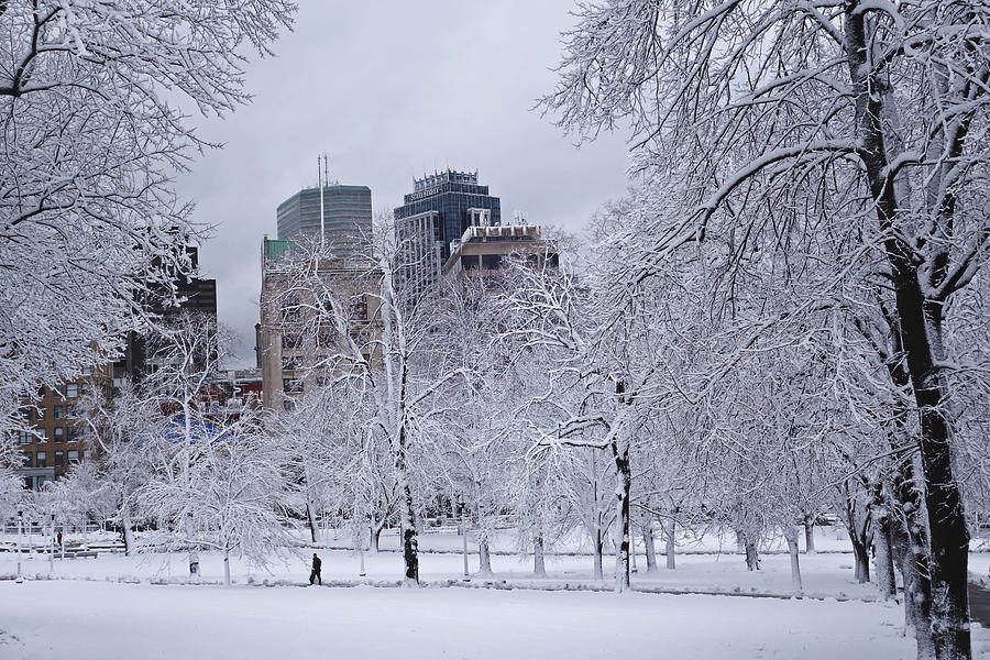 Massachusetts In Winter Background