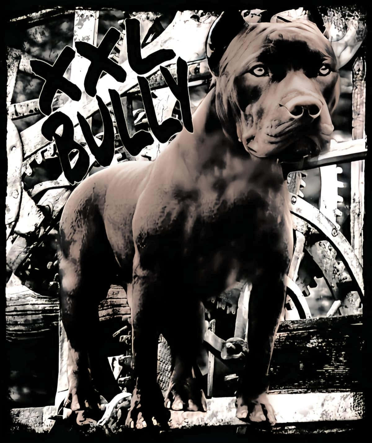 Massive Black Pitbull With Graffiti Background