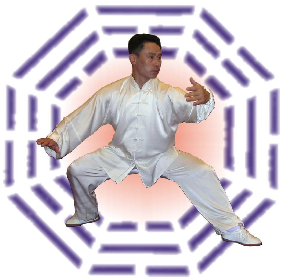 Master At Work - Bagua Martial Arts Stance Background