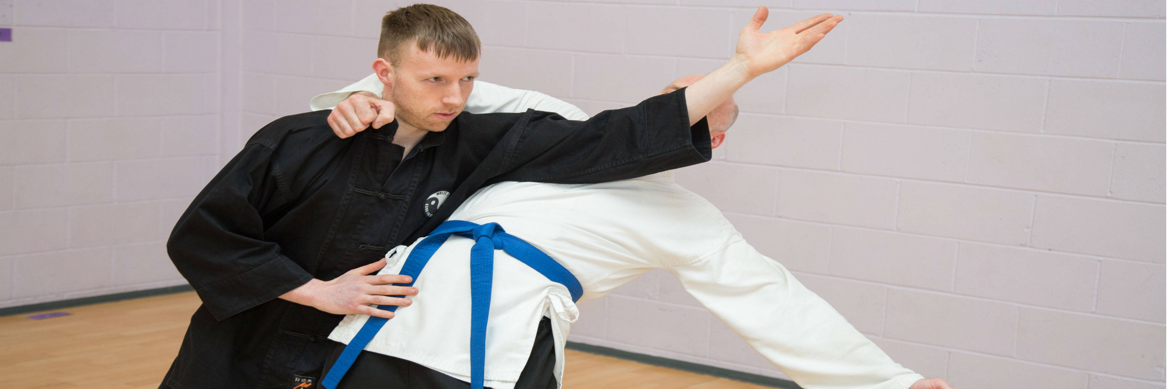 Master Practicing Bagua Shoulder Maneuver Background