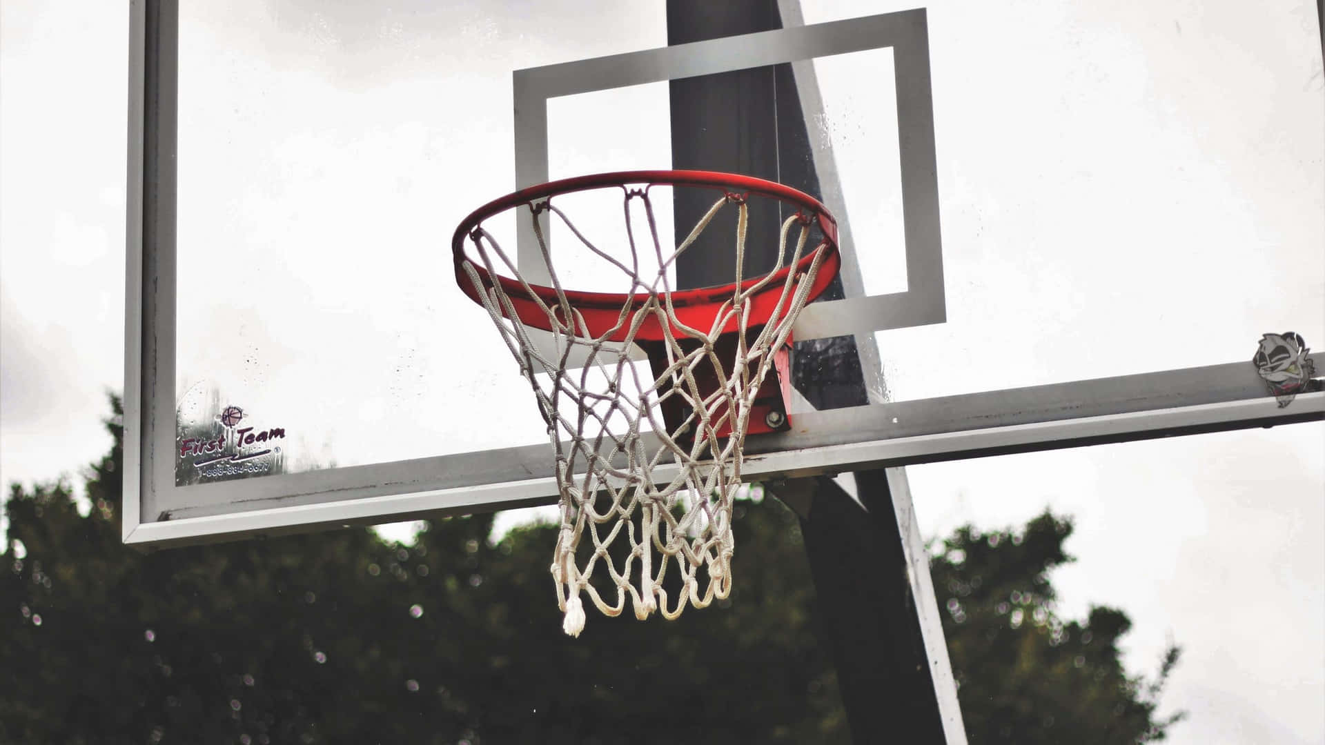 Master Your Skills On The Court Background