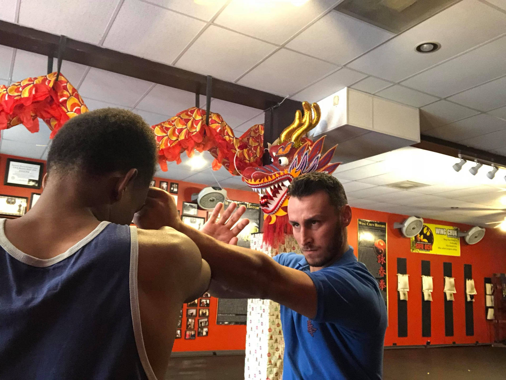 Mastering The Art Of Wing Chun