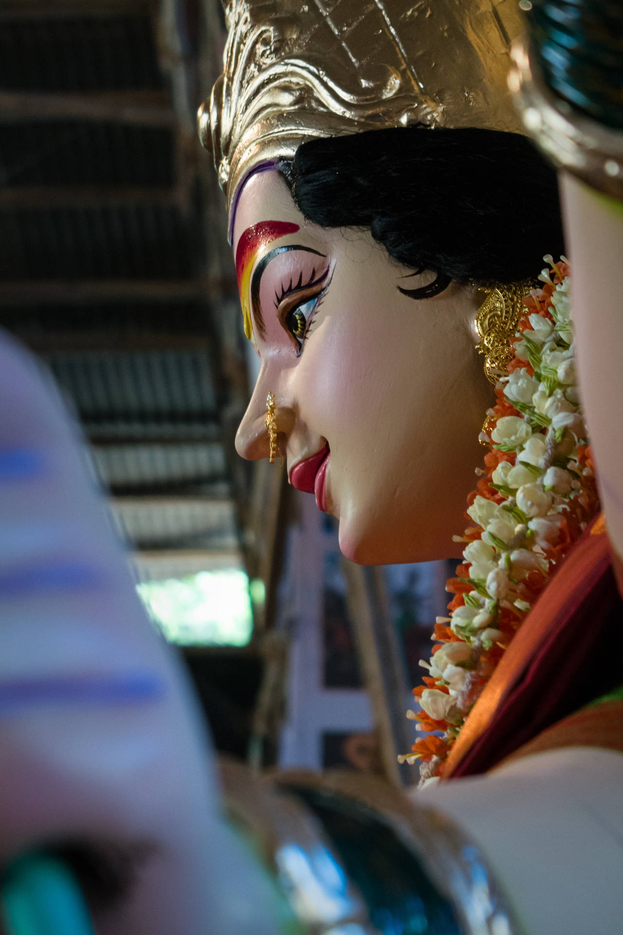 Mata Rani Side-profile Background