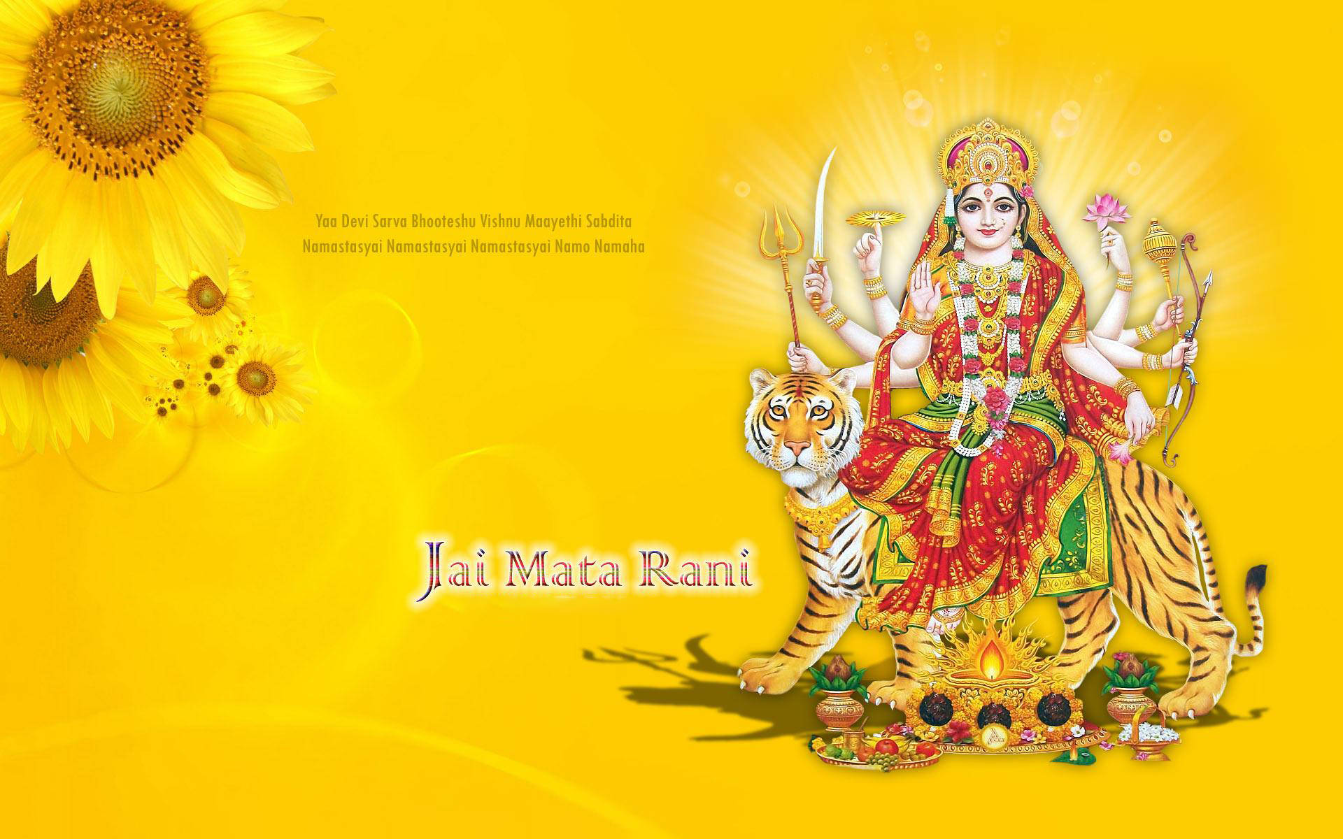 Mata Rani Sunflower Background Background