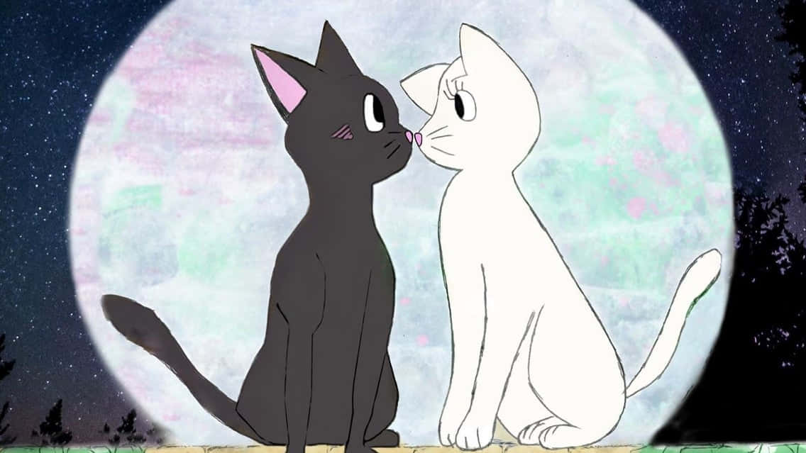 Matching Cat Pfp Sailor Moon